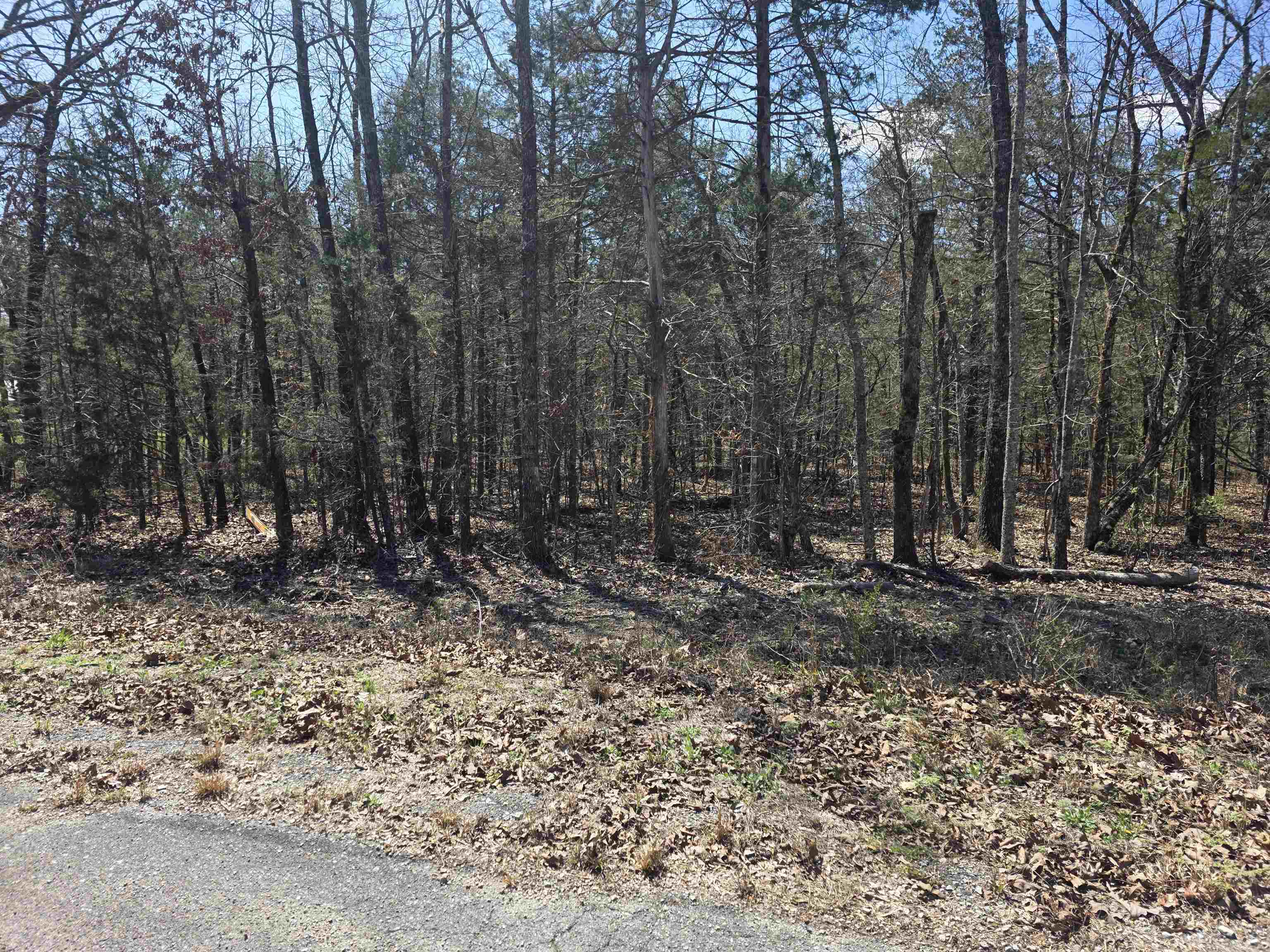 Photo 4 - Vacant Land for sale – L31 B19  Katta   Cherokee Village, AR