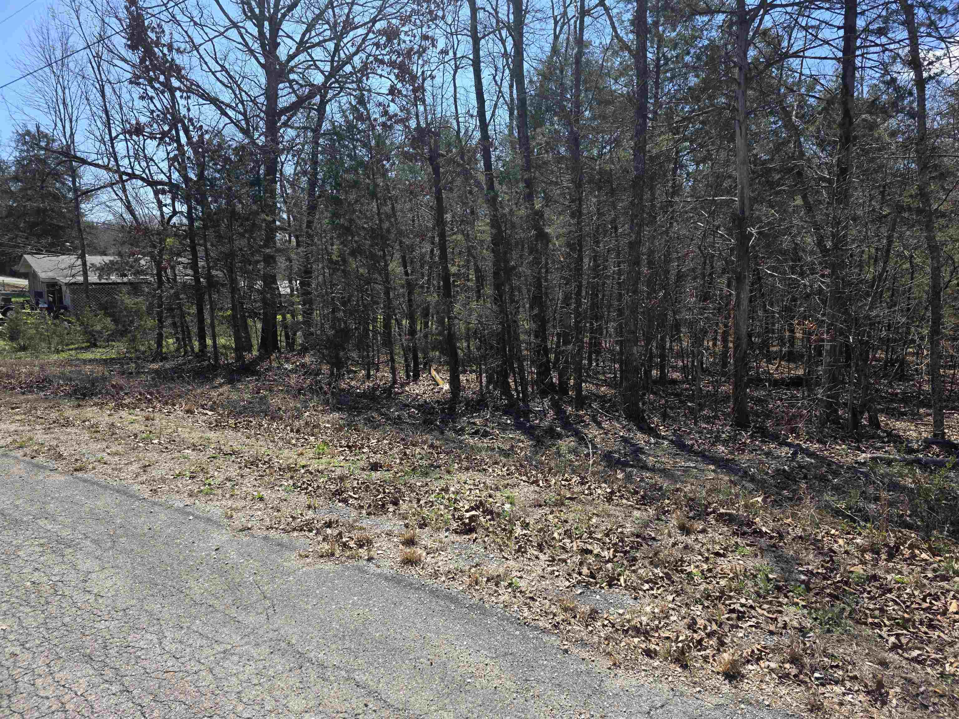 Photo 5 - Vacant Land for sale – L31 B19  Katta   Cherokee Village, AR
