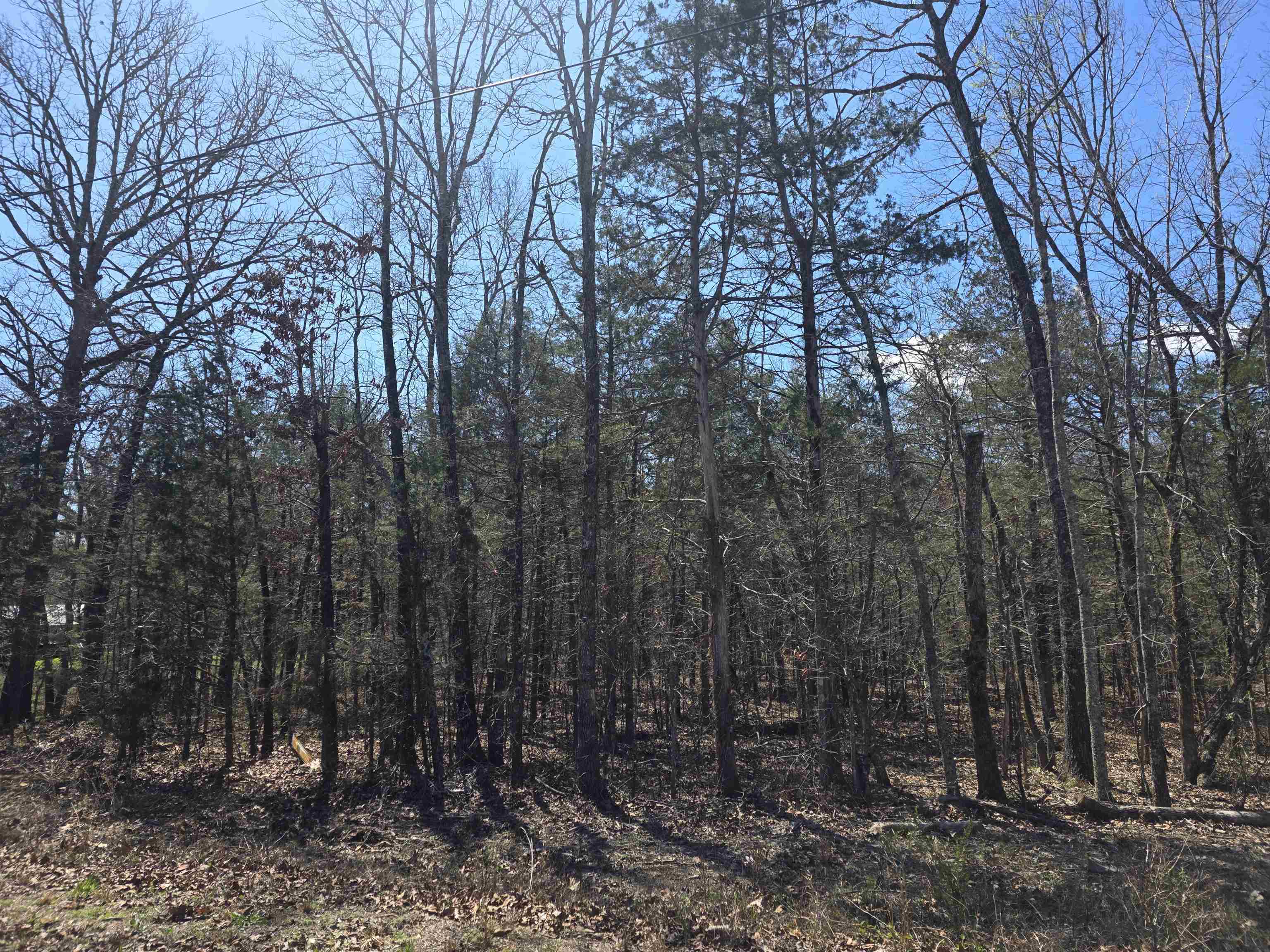 Photo 6 - Vacant Land for sale – L31 B19  Katta   Cherokee Village, AR