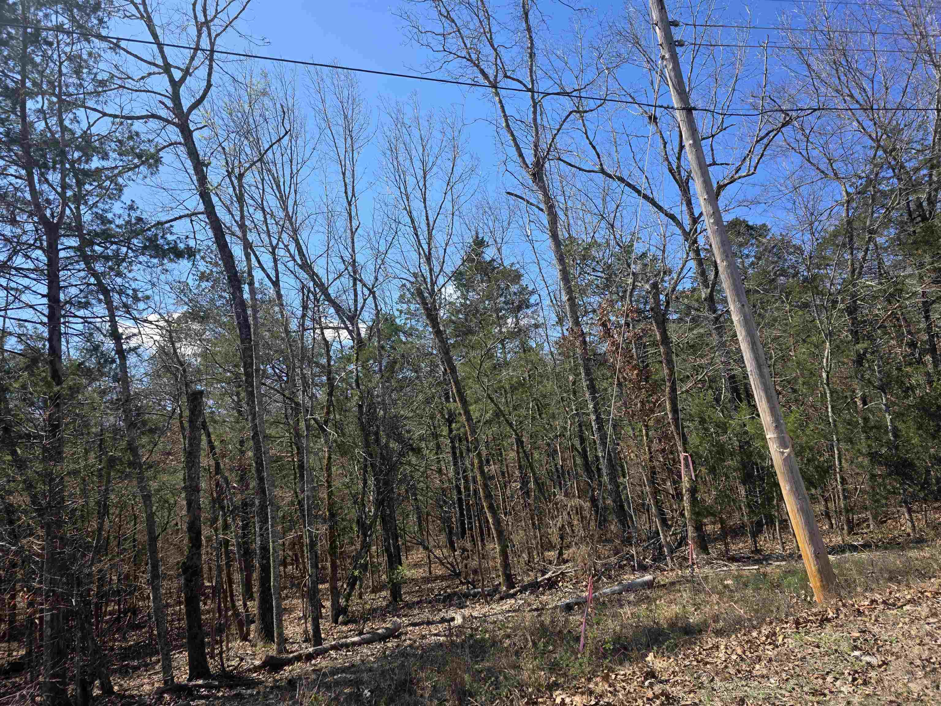 Photo 7 - Vacant Land for sale – L31 B19  Katta   Cherokee Village, AR