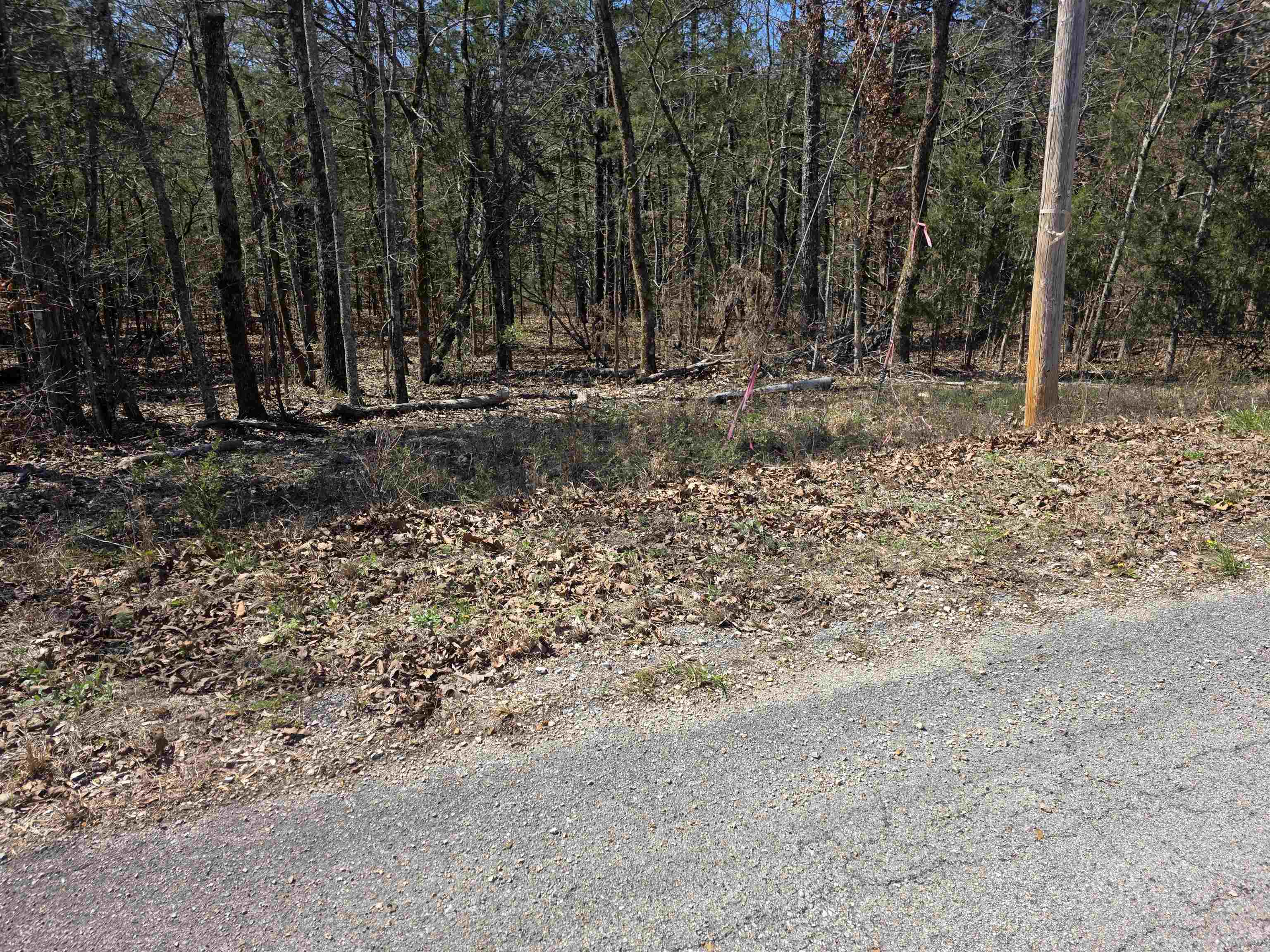 Photo 8 - Vacant Land for sale – L31 B19  Katta   Cherokee Village, AR
