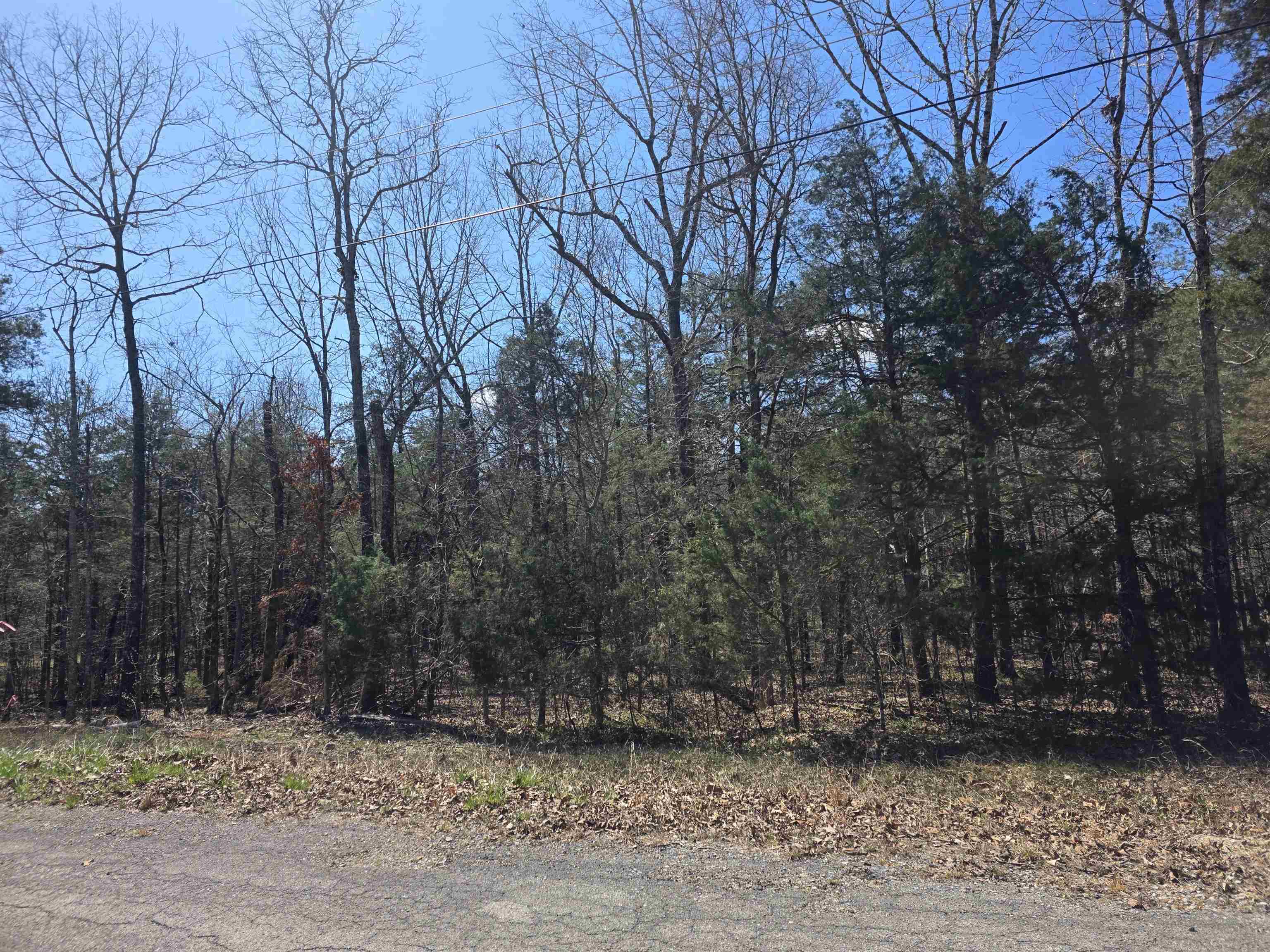 Vacant Land for sale – L30 B19  Katta   Cherokee Village, AR