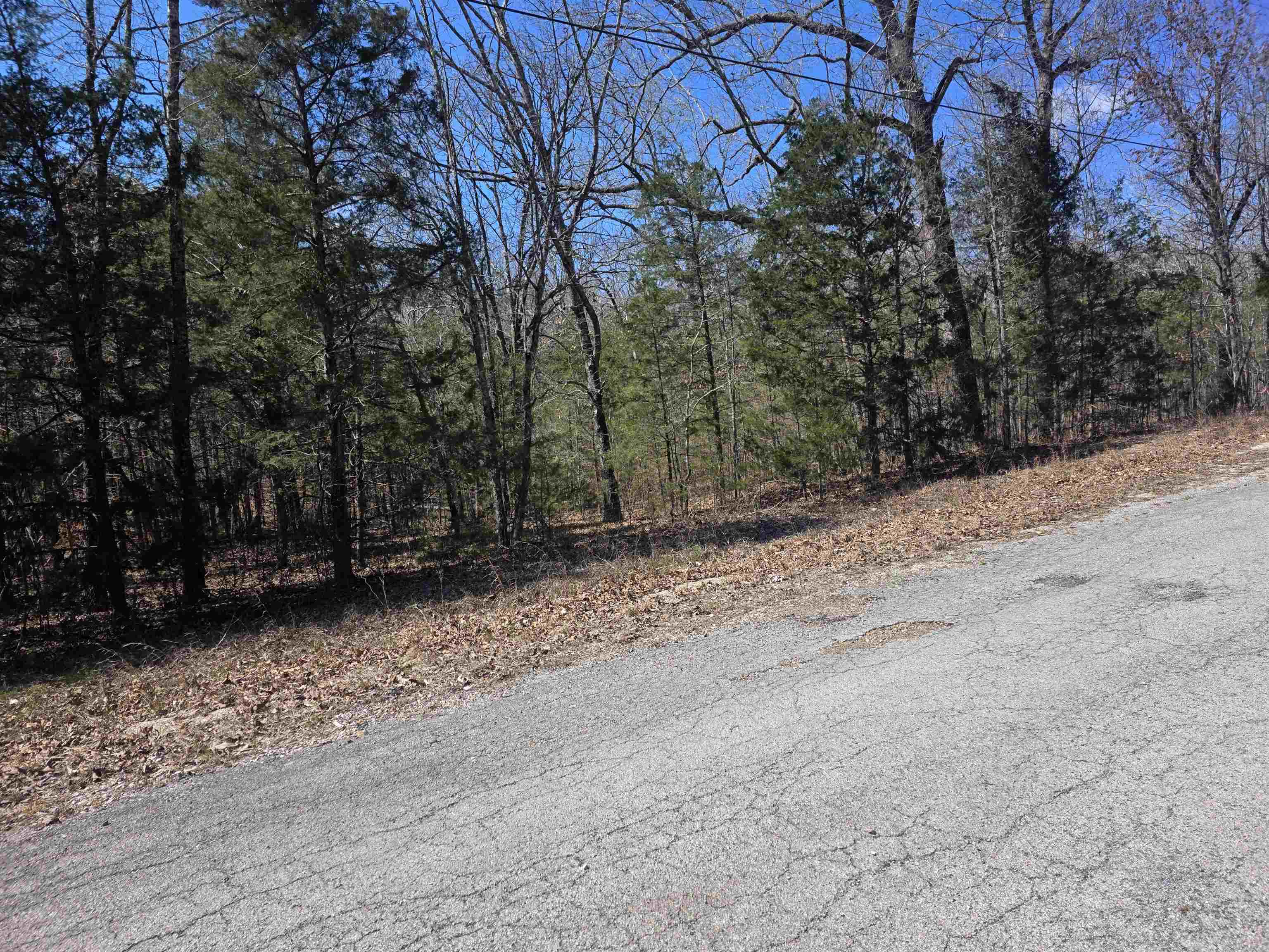 Photo 2 - Vacant Land for sale – L30 B19  Katta   Cherokee Village, AR