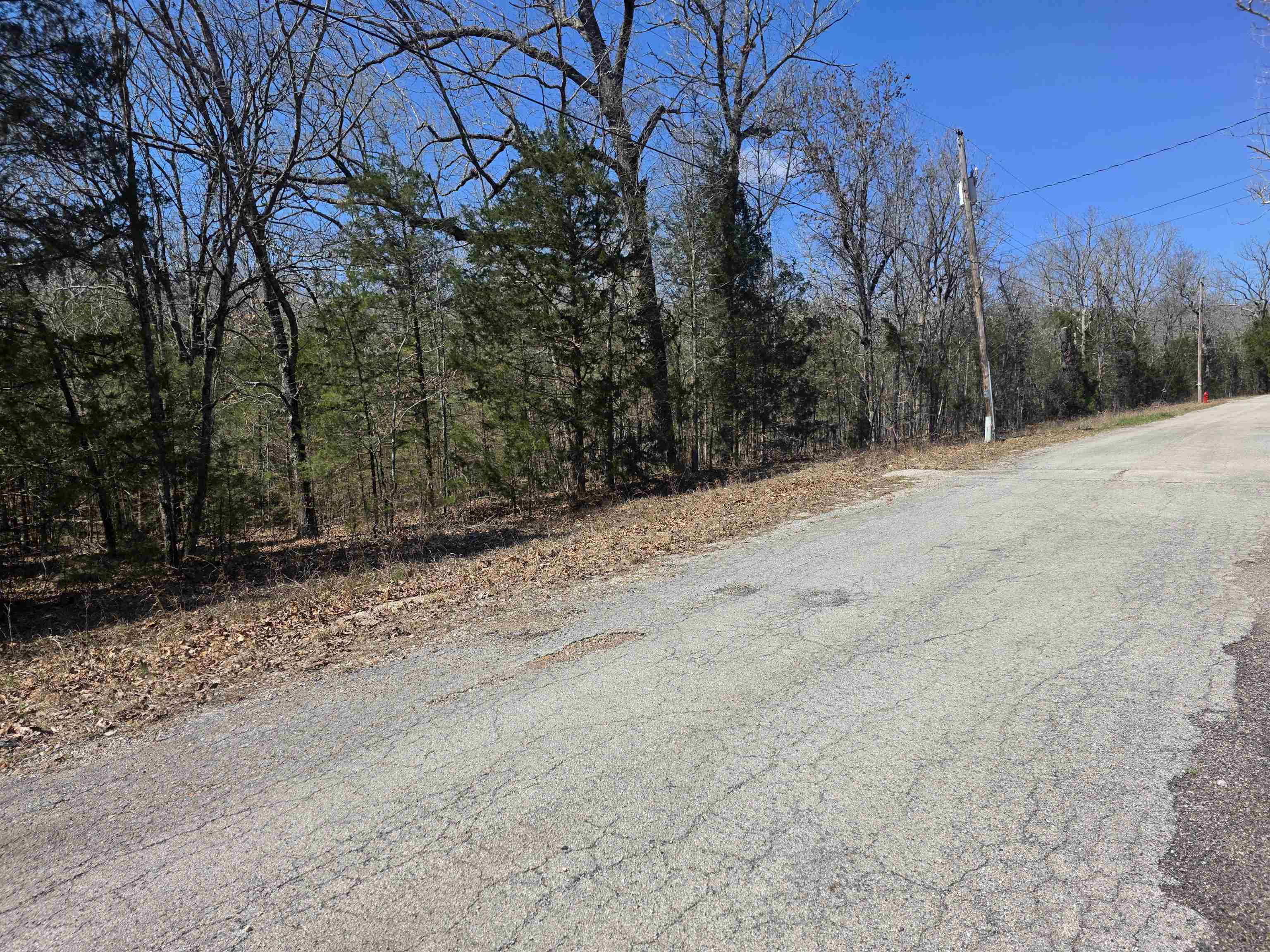 Photo 3 - Vacant Land for sale – L30 B19  Katta   Cherokee Village, AR