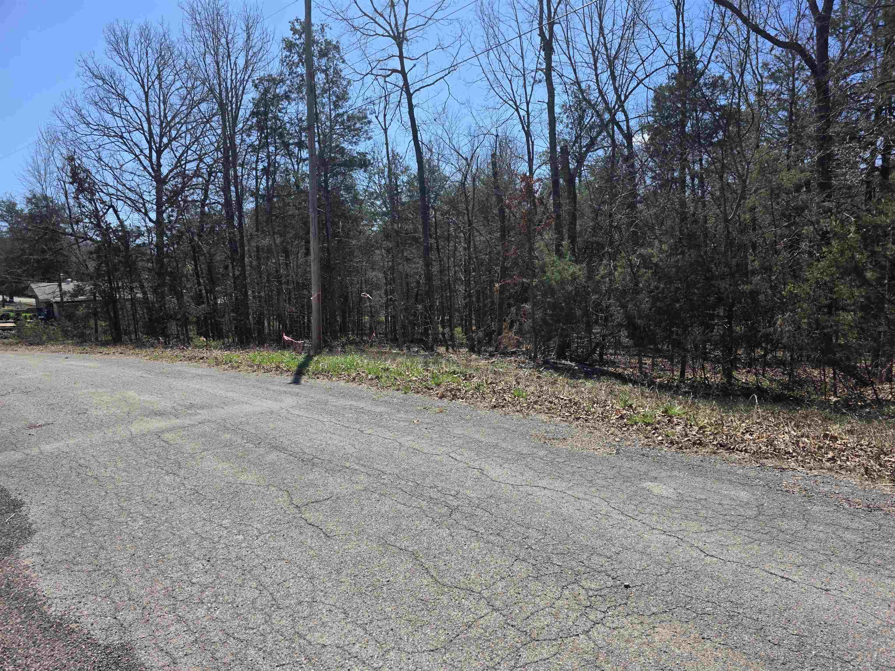 Photo 4 - Vacant Land for sale – L30 B19  Katta   Cherokee Village, AR