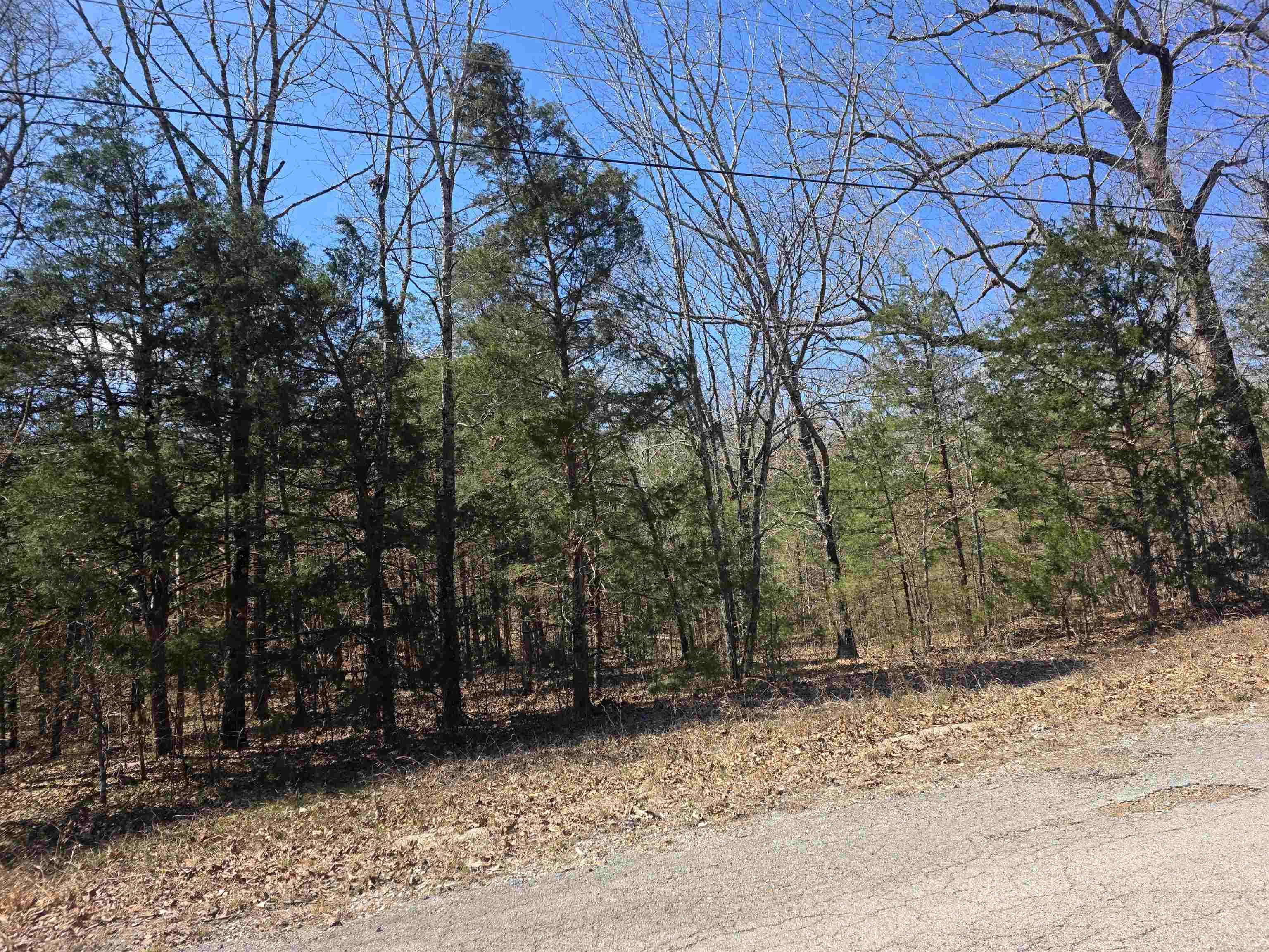 Photo 5 - Vacant Land for sale – L30 B19  Katta   Cherokee Village, AR