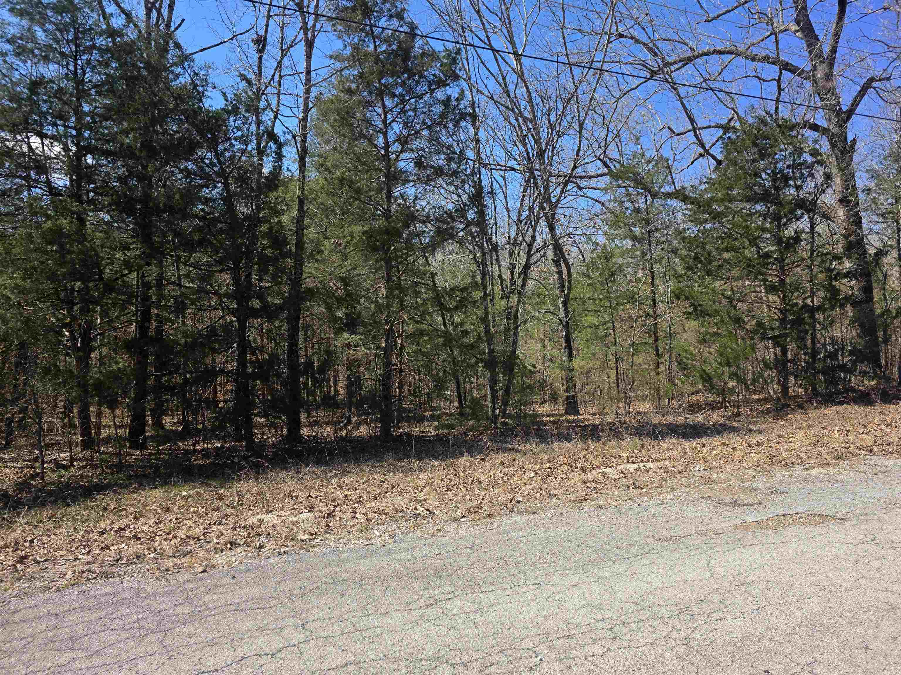 Photo 6 - Vacant Land for sale – L30 B19  Katta   Cherokee Village, AR