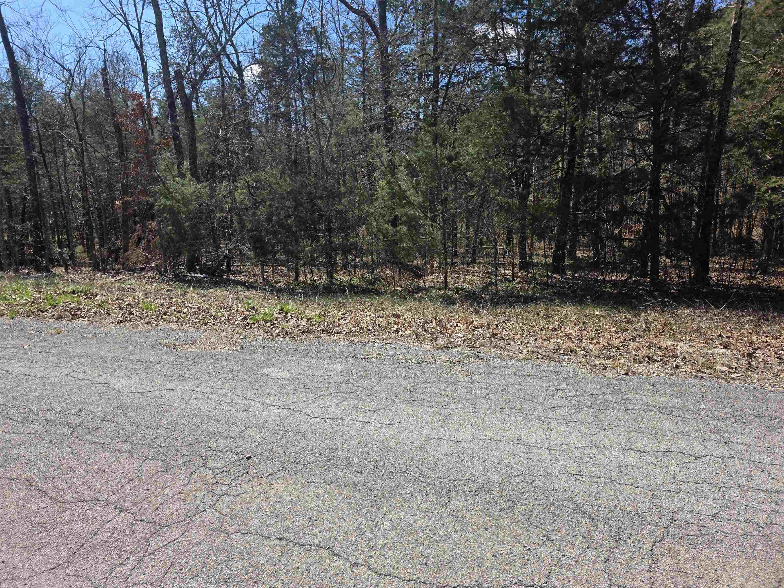 Photo 7 - Vacant Land for sale – L30 B19  Katta   Cherokee Village, AR