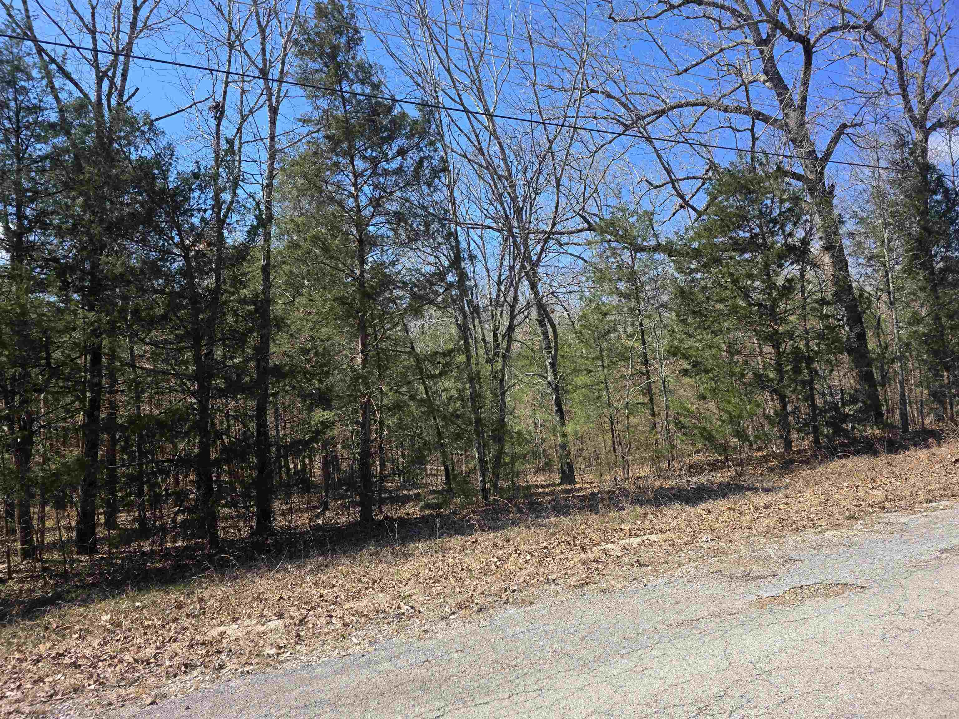 Photo 8 - Vacant Land for sale – L30 B19  Katta   Cherokee Village, AR