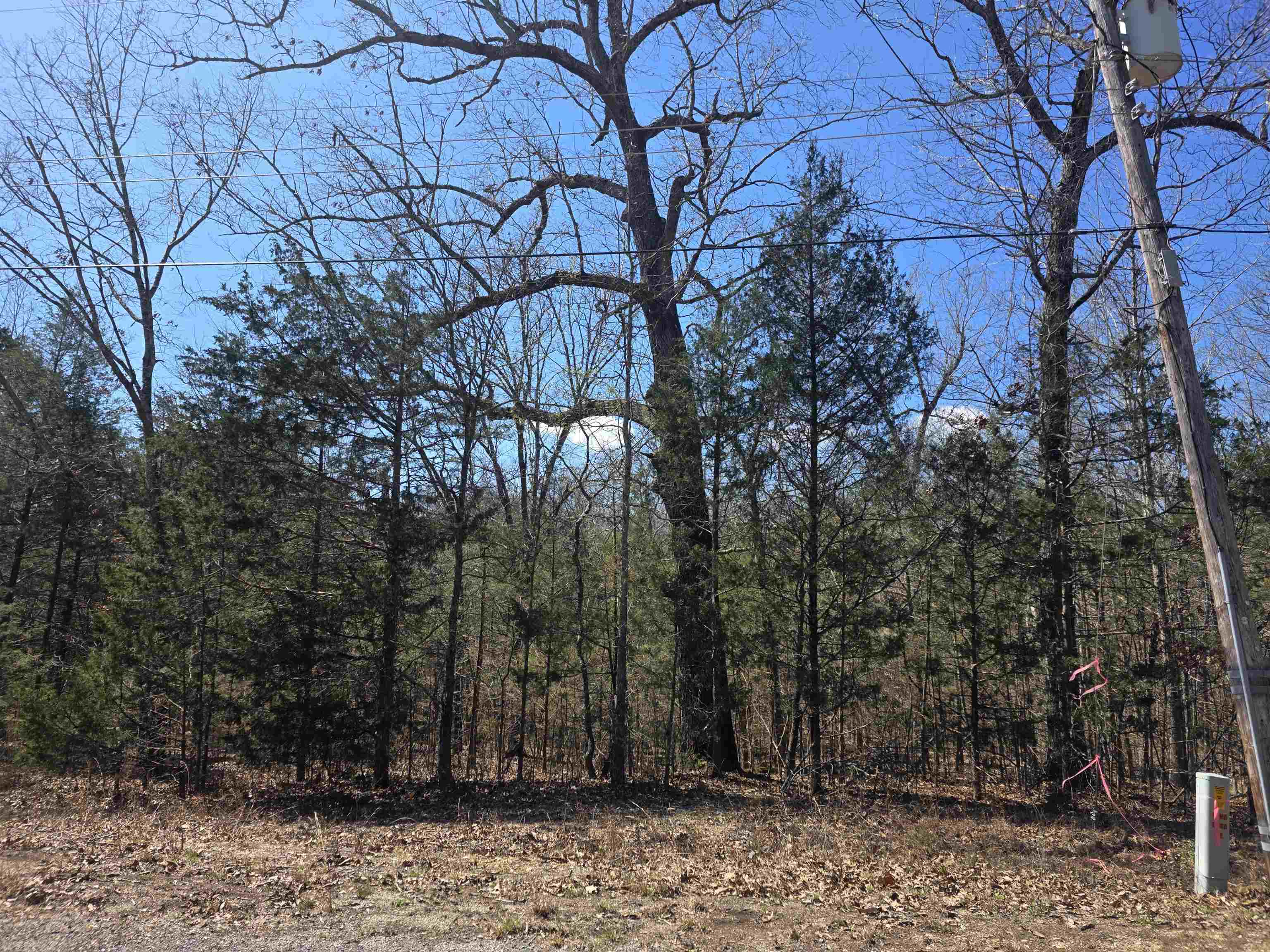 Vacant Land for sale – L29 B19  Katta   Cherokee Village, AR