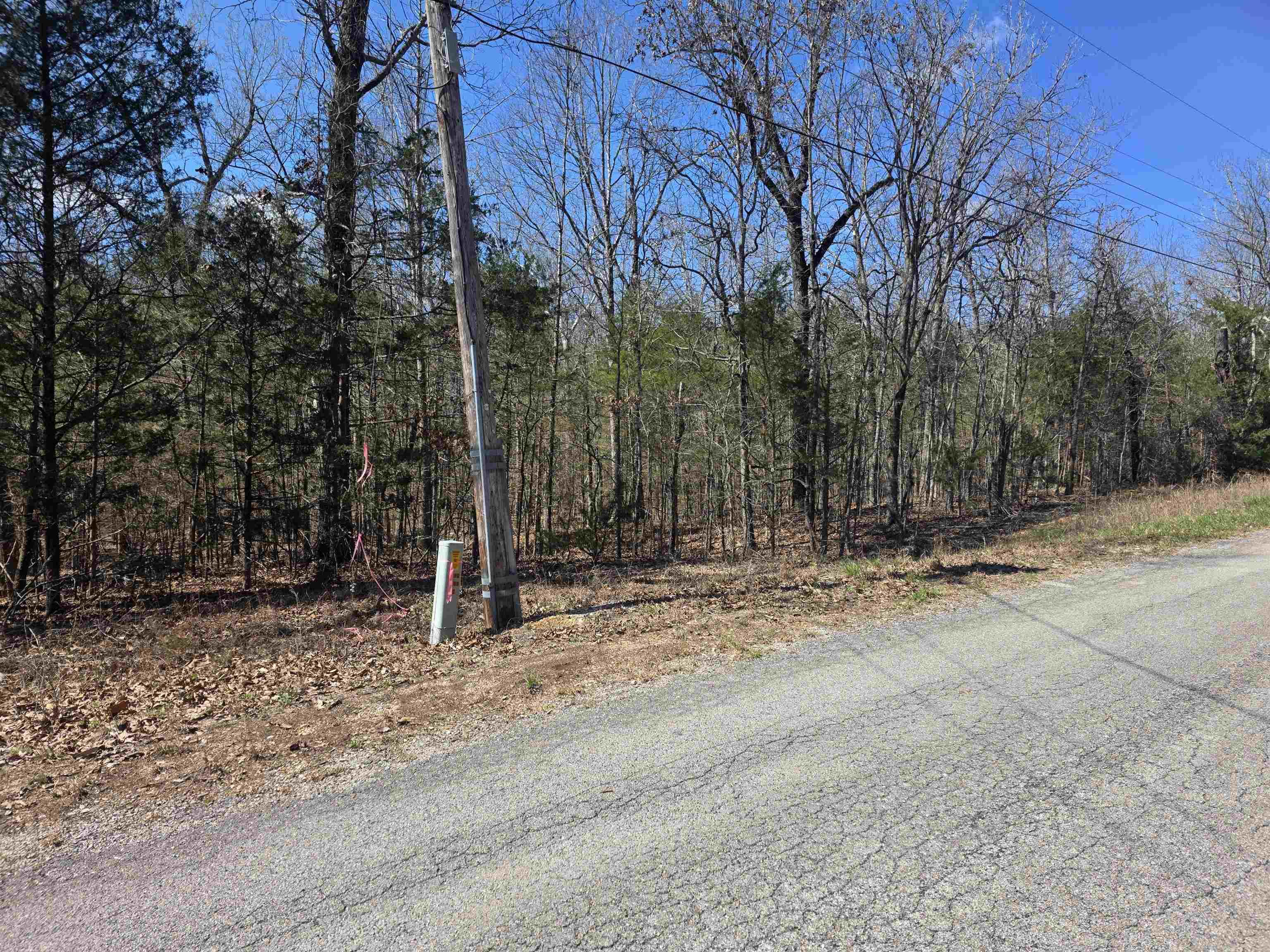 Photo 2 - Vacant Land for sale – L29 B19  Katta   Cherokee Village, AR