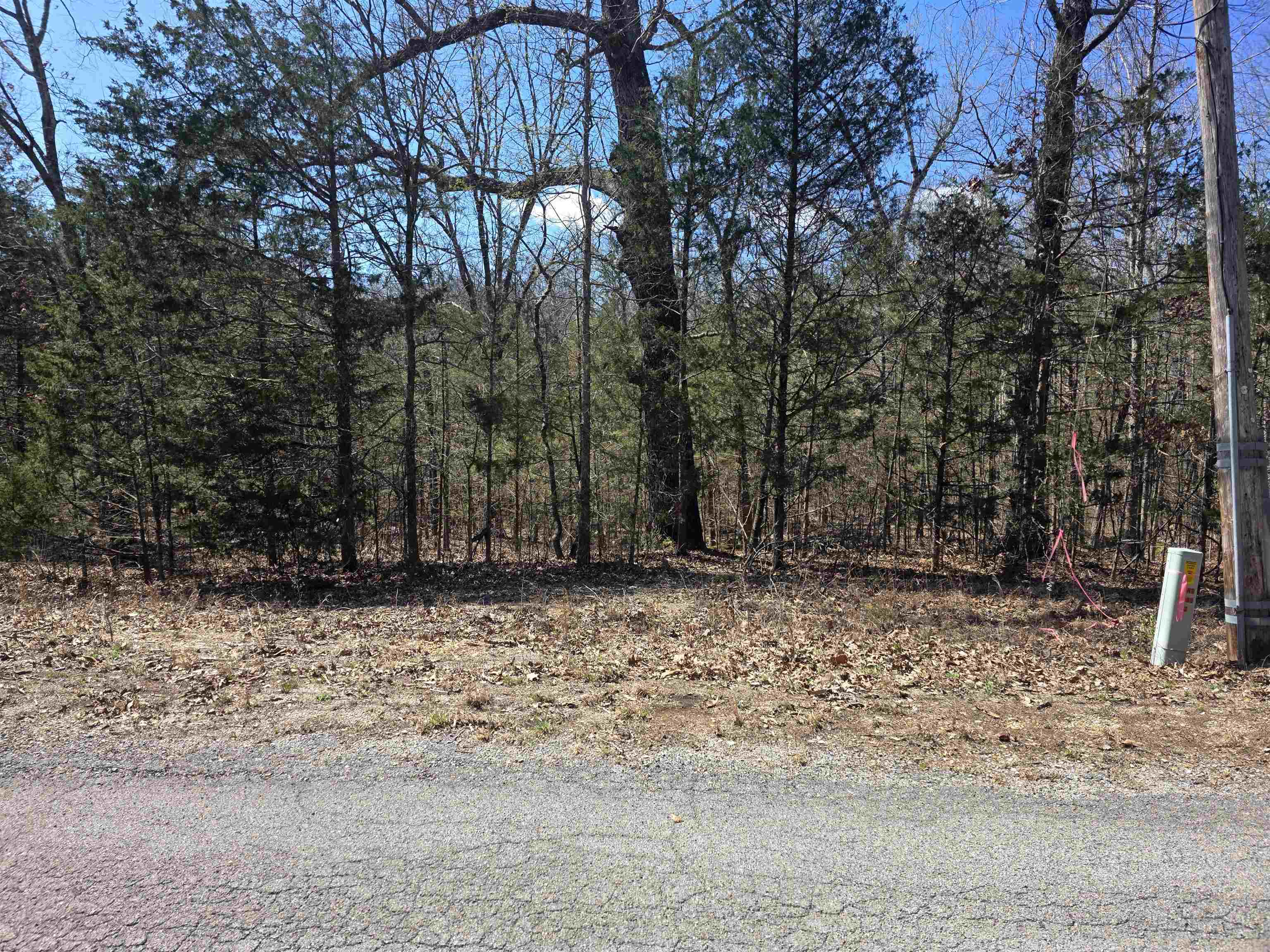 Photo 3 - Vacant Land for sale – L29 B19  Katta   Cherokee Village, AR