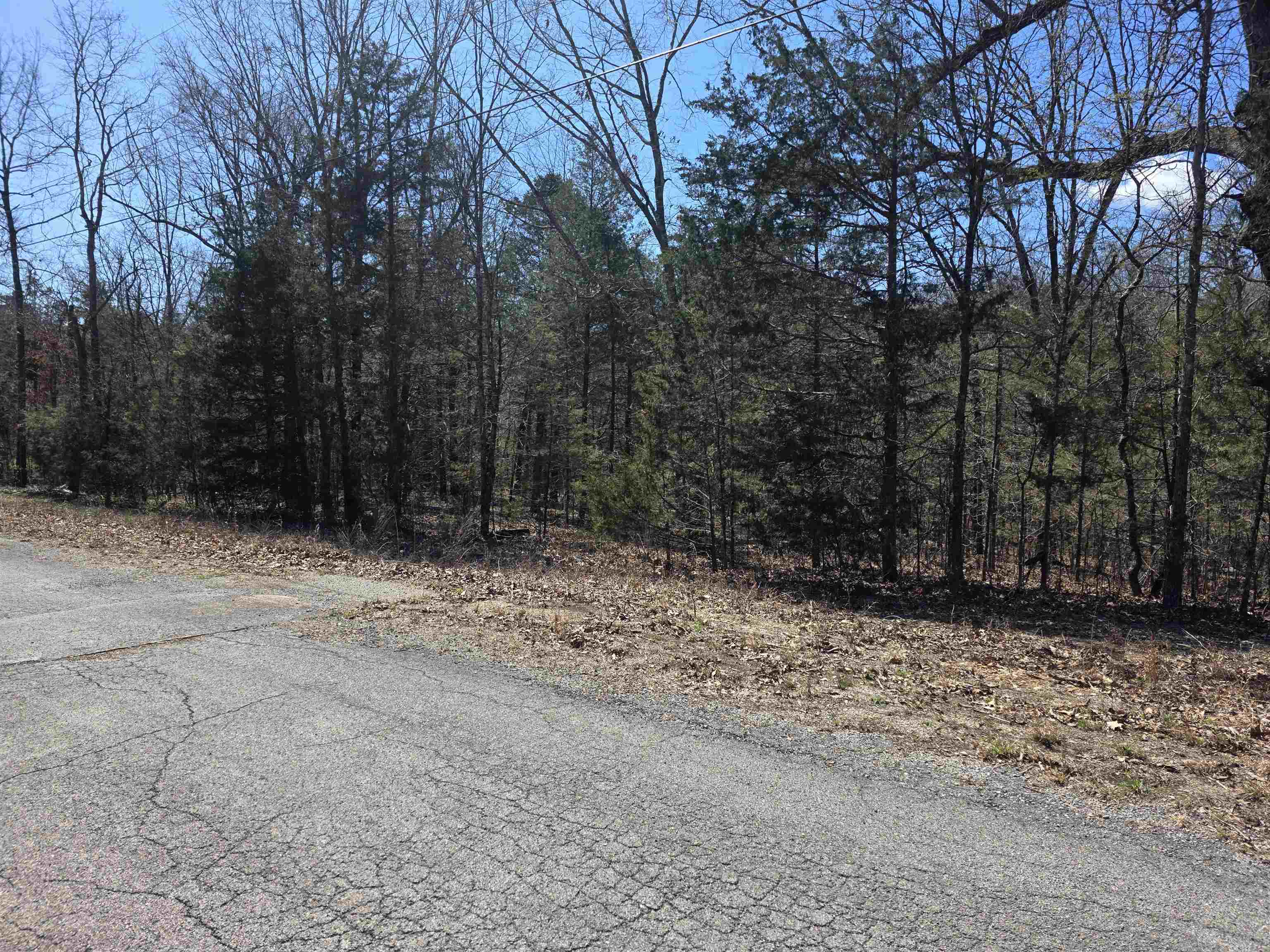Photo 4 - Vacant Land for sale – L29 B19  Katta   Cherokee Village, AR