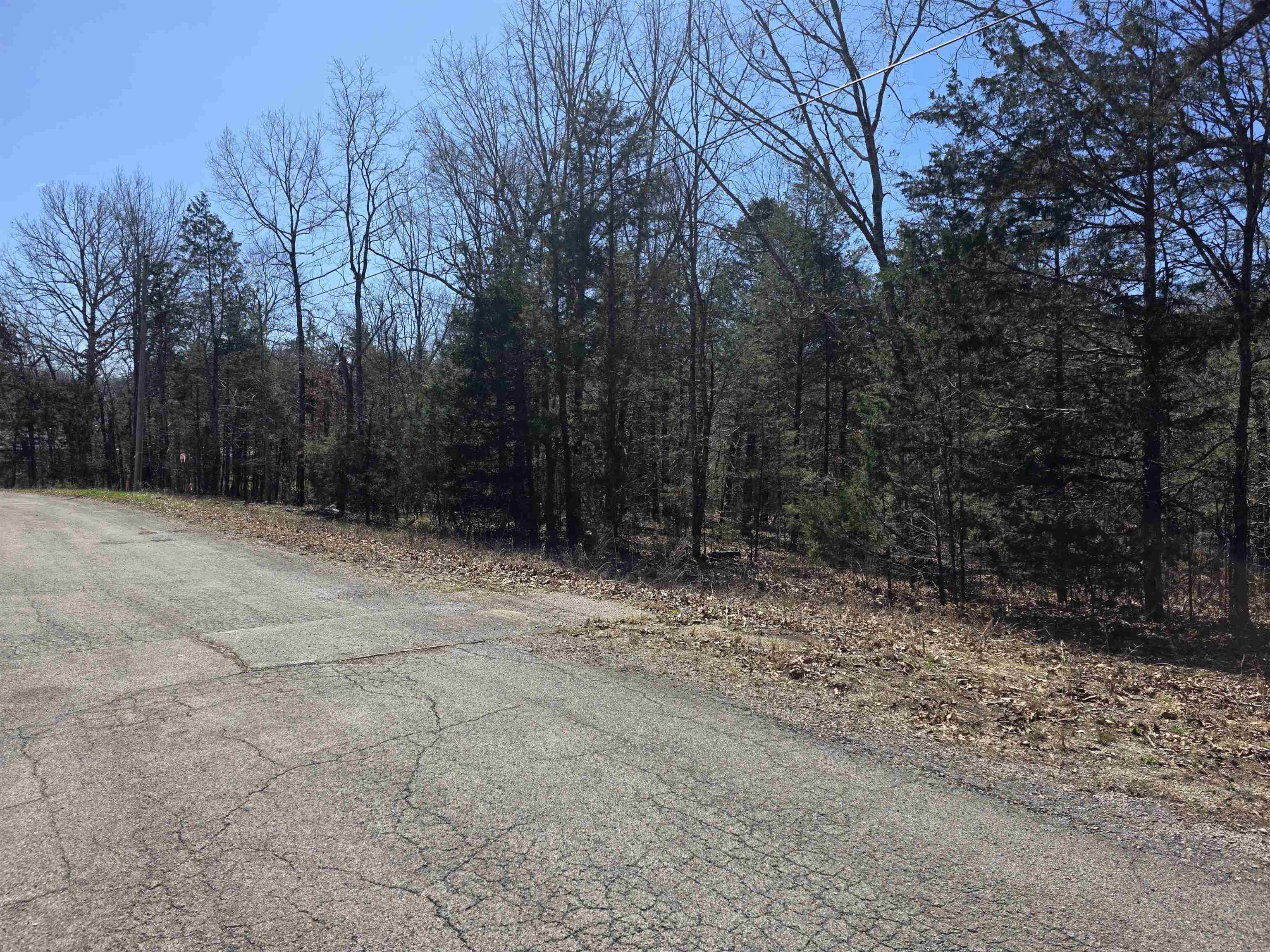 Photo 5 - Vacant Land for sale – L29 B19  Katta   Cherokee Village, AR