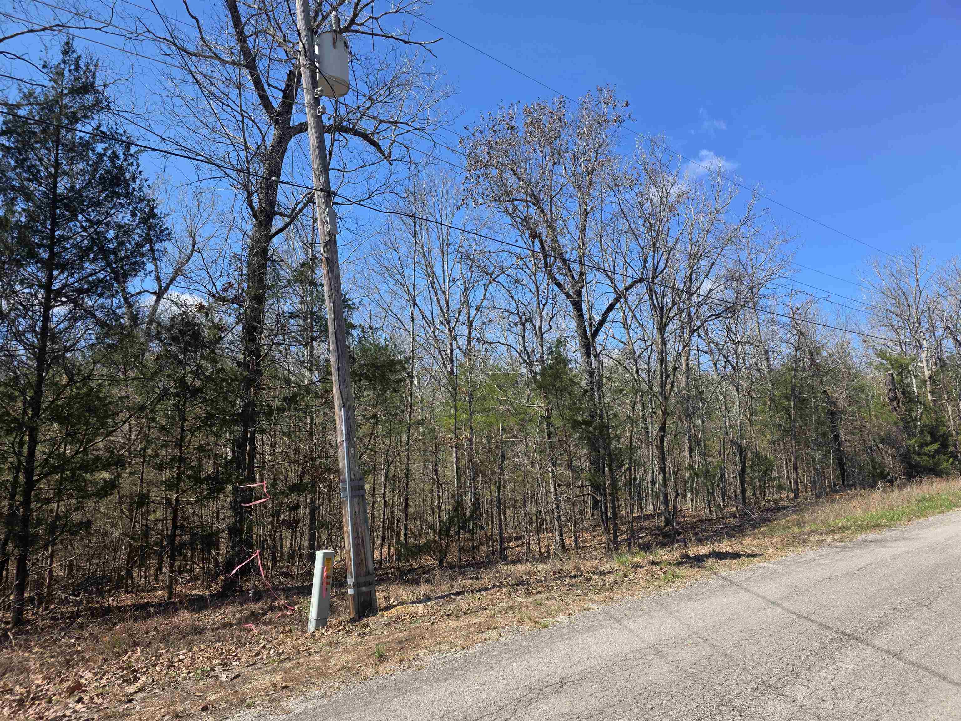 Photo 6 - Vacant Land for sale – L29 B19  Katta   Cherokee Village, AR