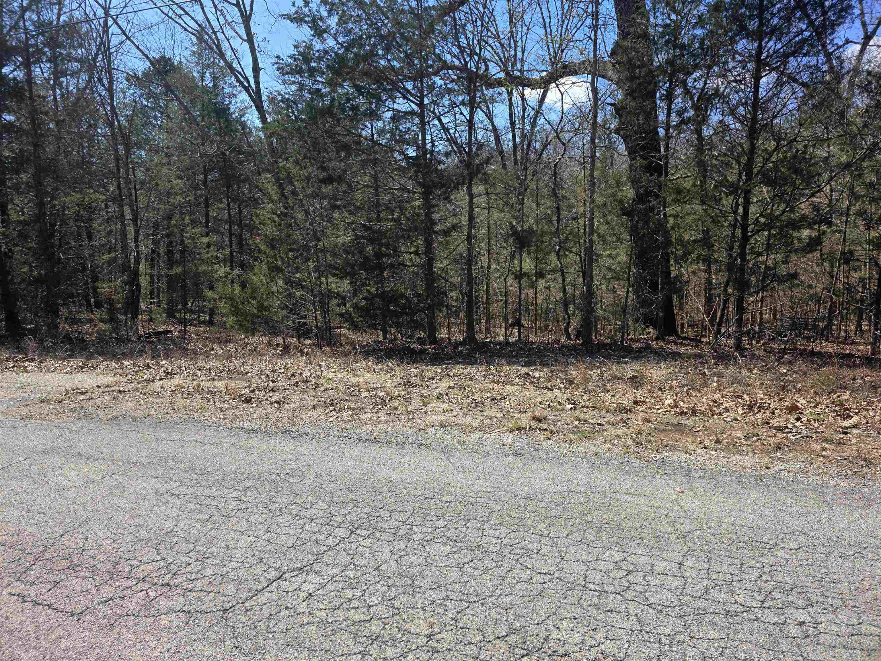 Photo 8 - Vacant Land for sale – L29 B19  Katta   Cherokee Village, AR