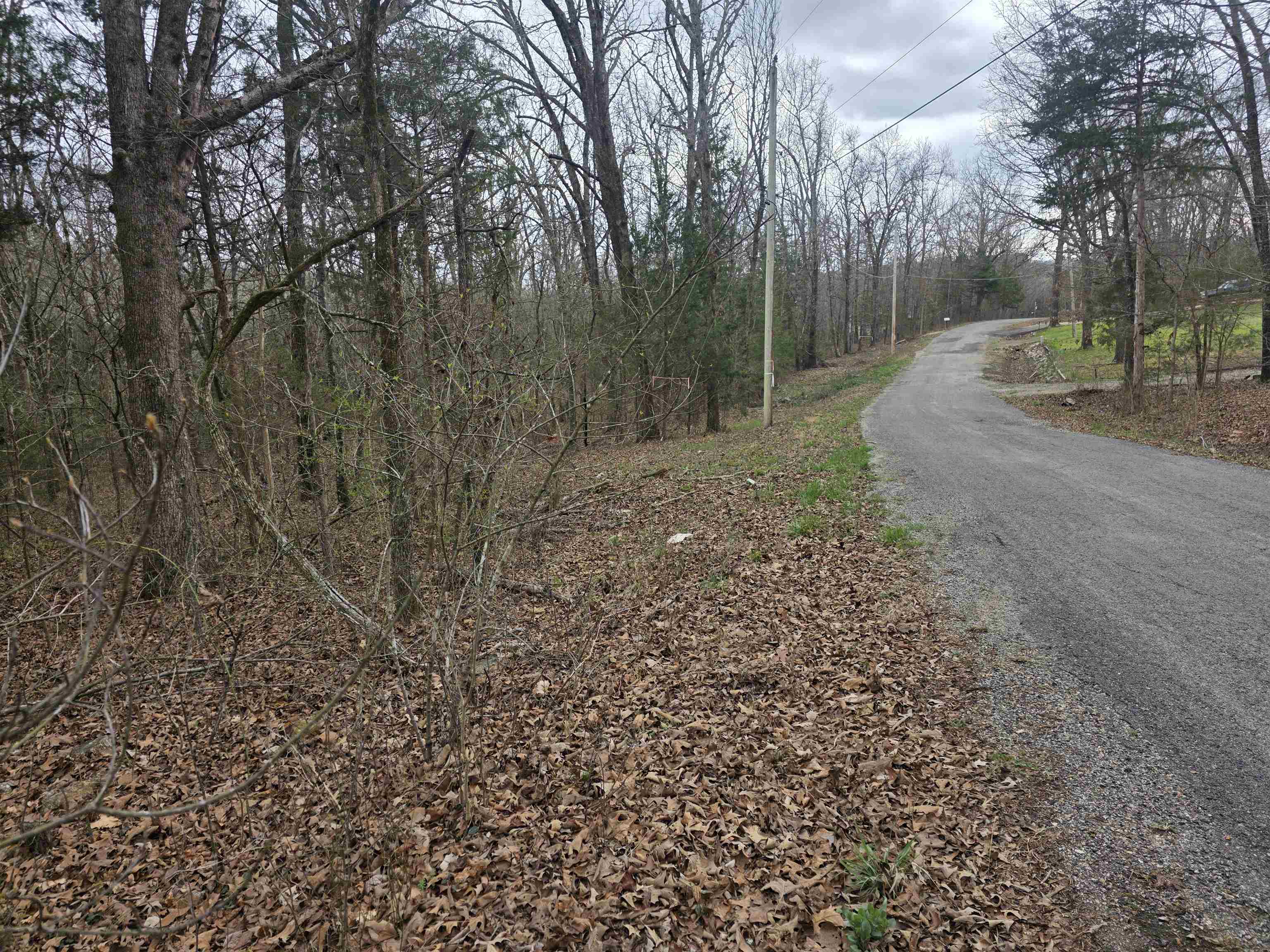 Photo 2 - Vacant Land for sale – L19 B6  Big Horn   Cherokee Village, AR