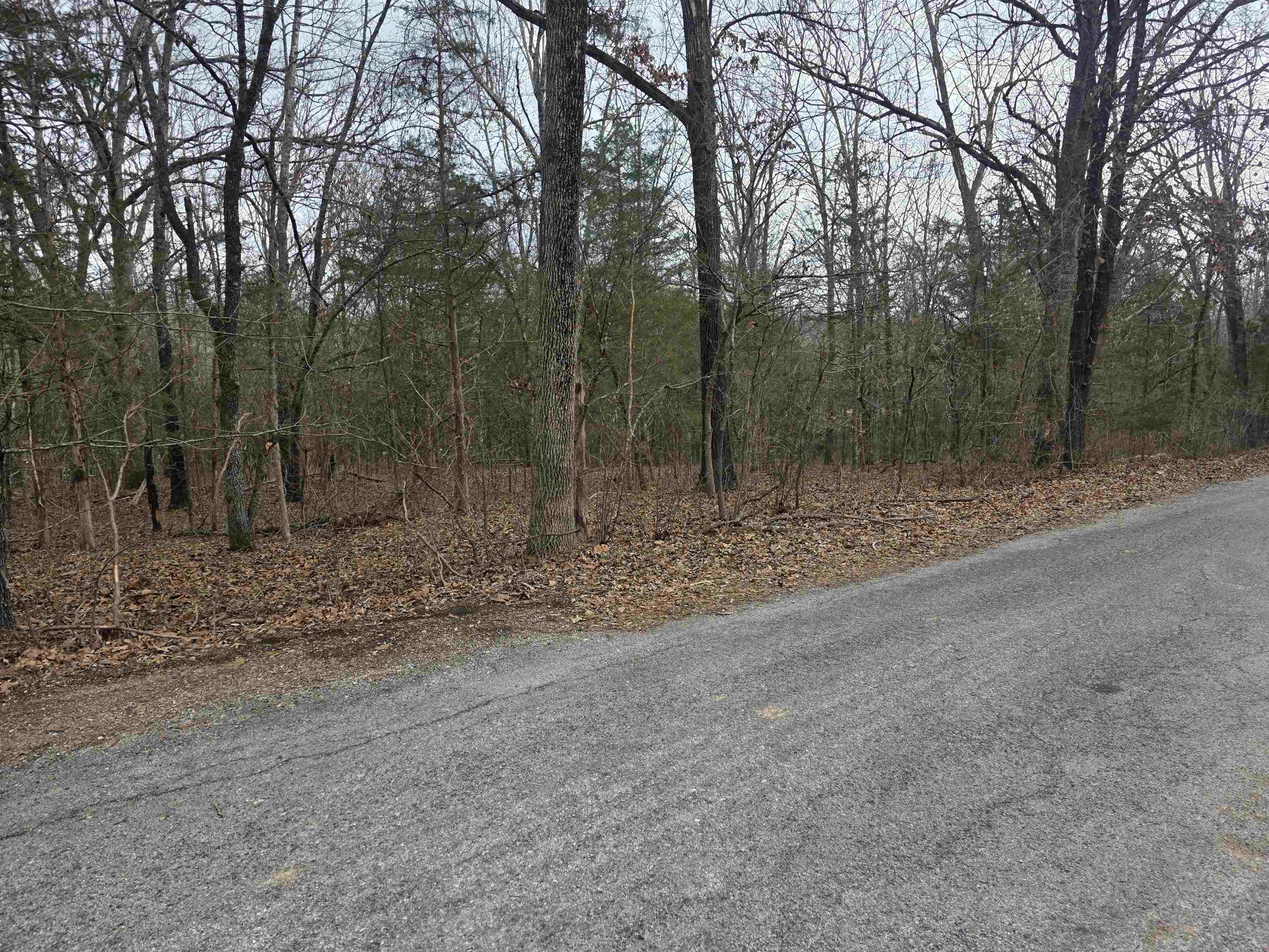 Photo 11 - Vacant Land for sale – L19 B6  Big Horn   Cherokee Village, AR