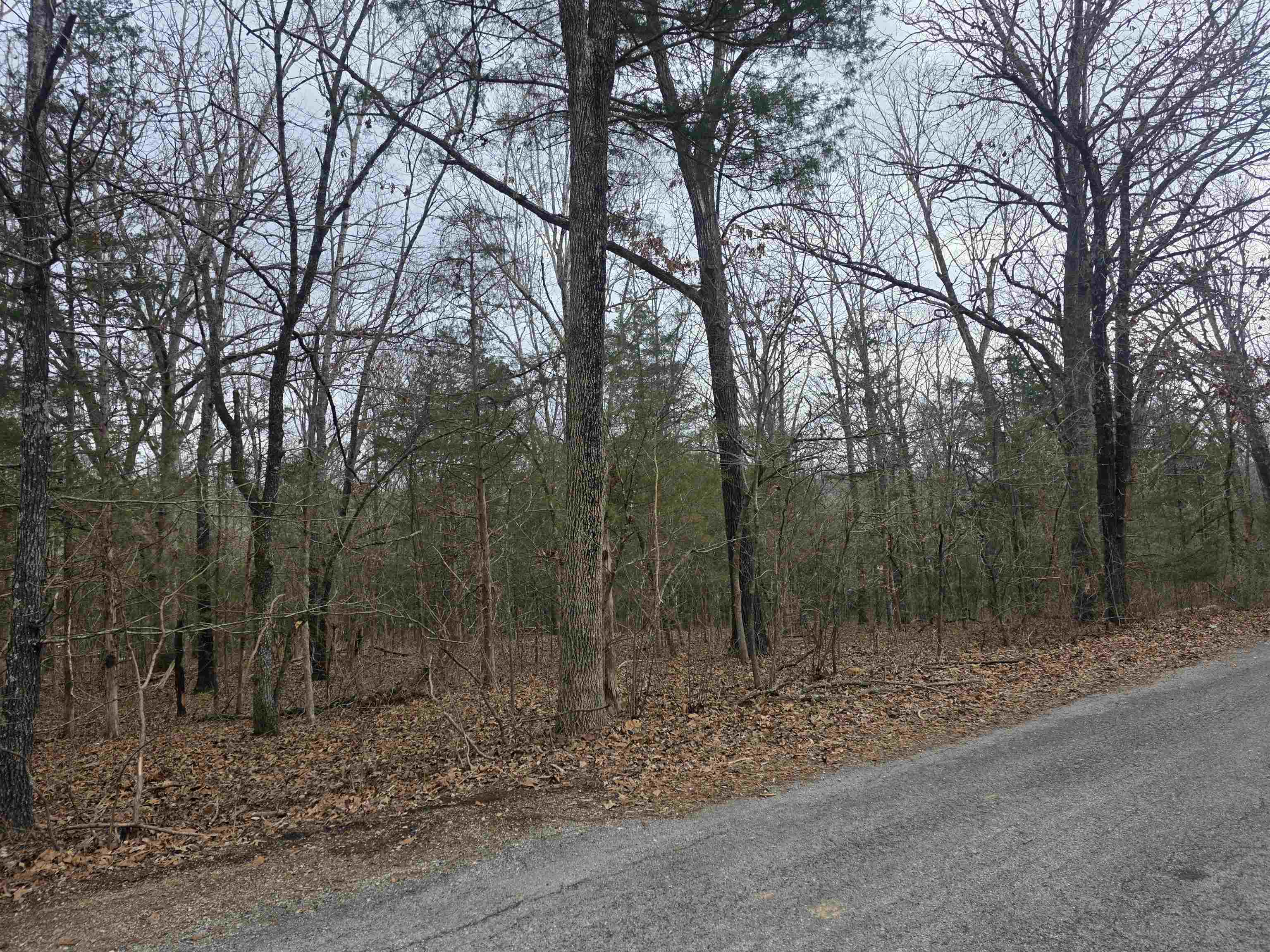 Photo 13 - Vacant Land for sale – L19 B6  Big Horn   Cherokee Village, AR