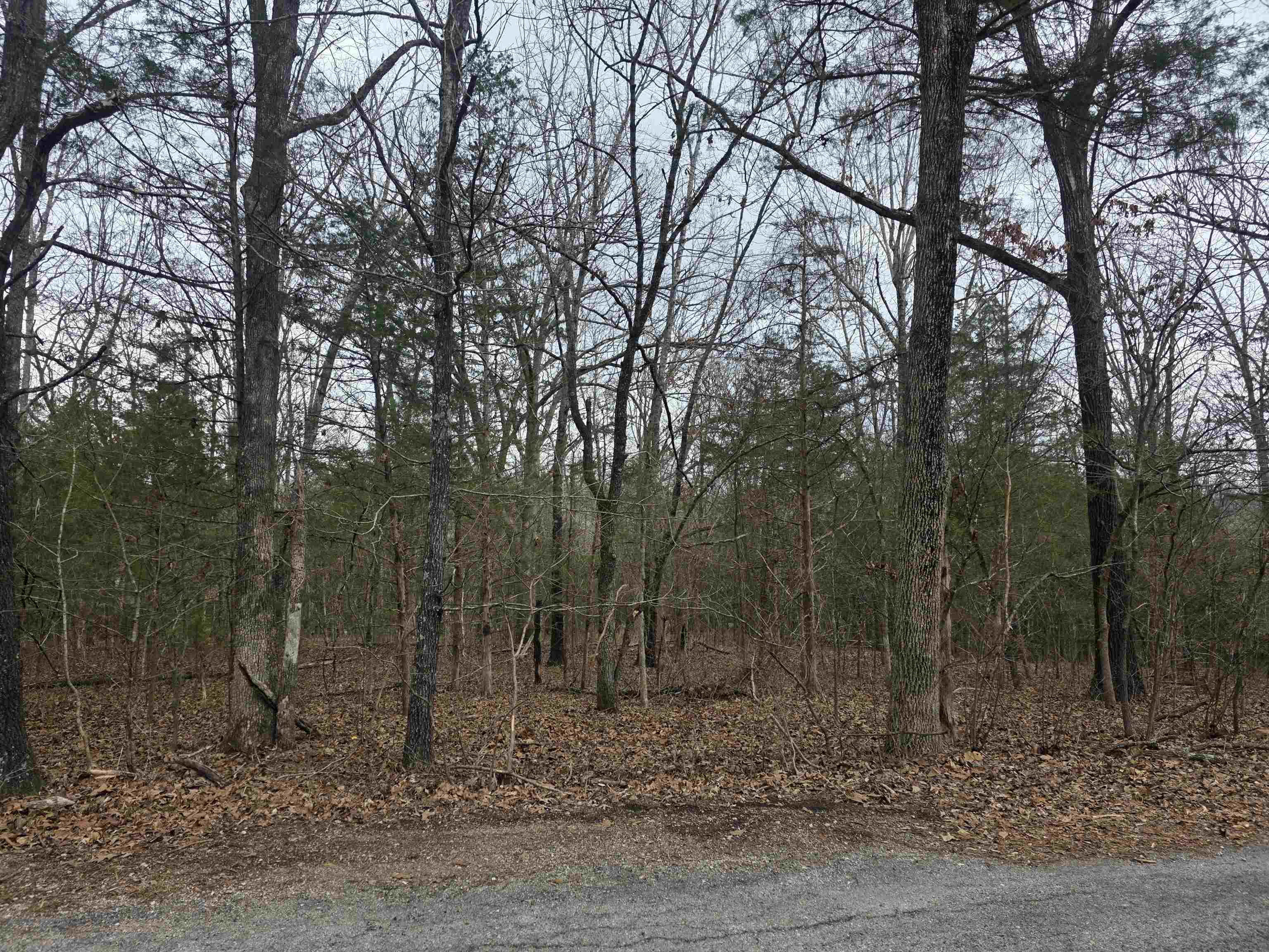 Photo 14 - Vacant Land for sale – L19 B6  Big Horn   Cherokee Village, AR