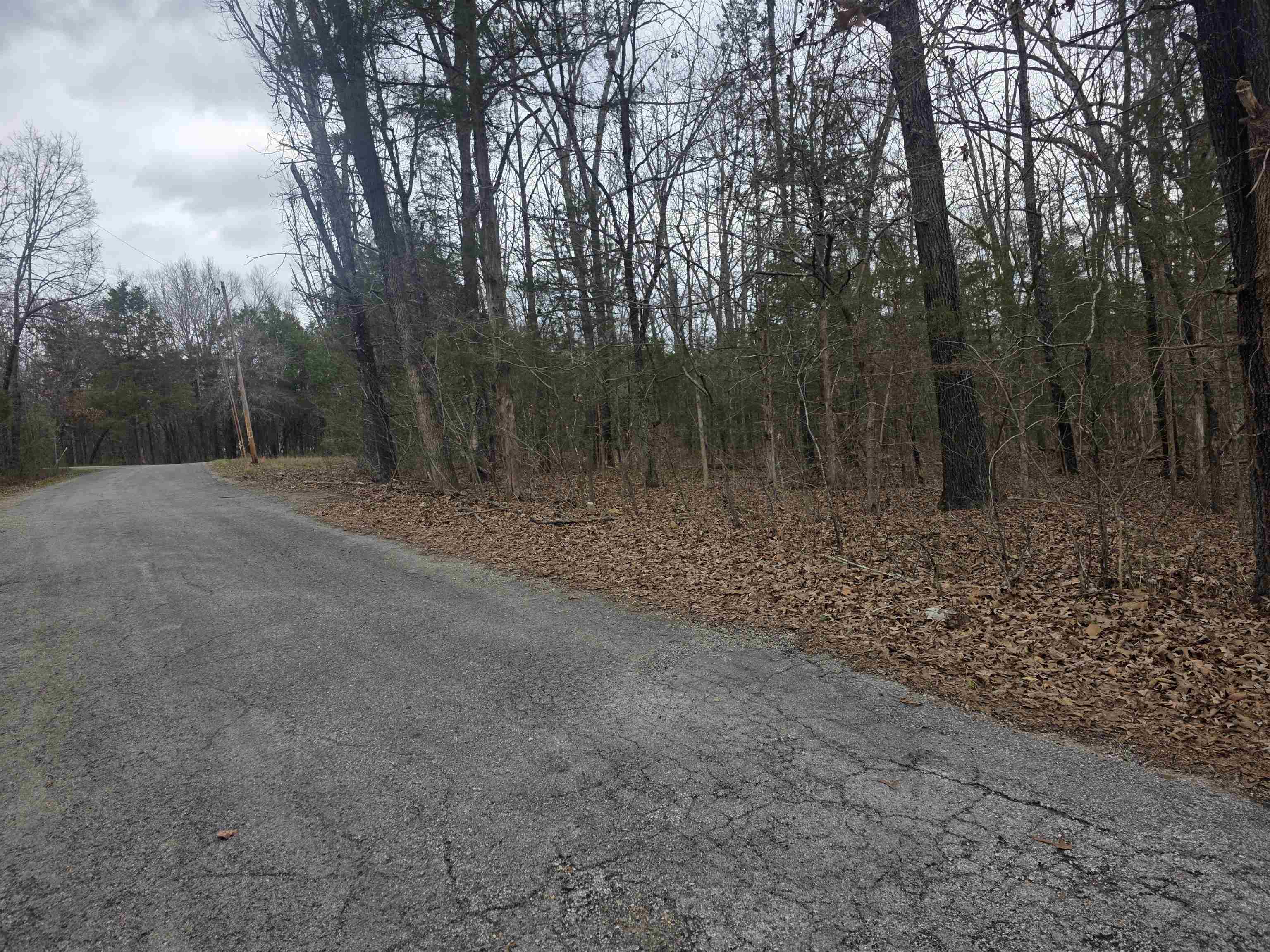 Photo 3 - Vacant Land for sale – L19 B6  Big Horn   Cherokee Village, AR