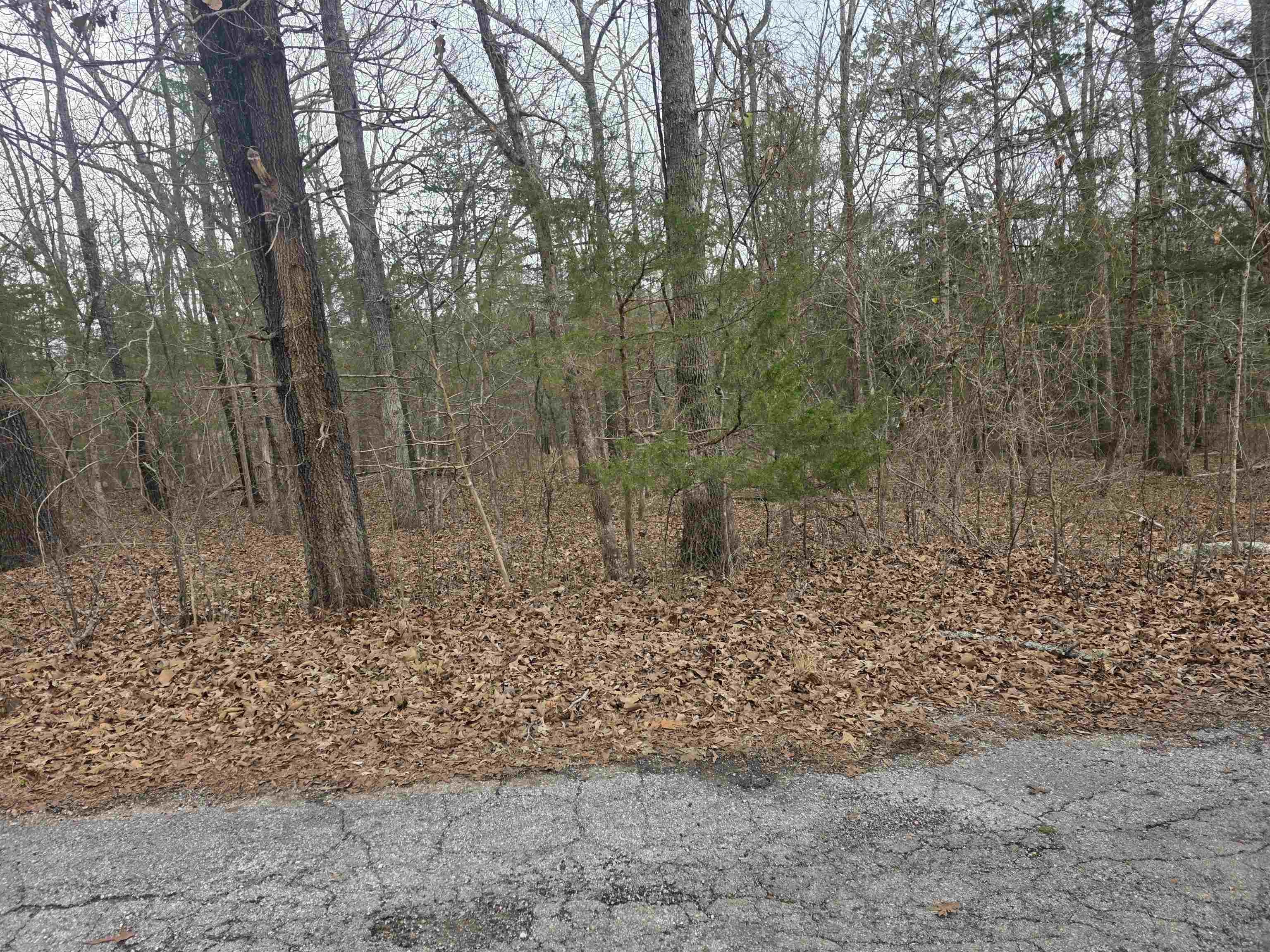Photo 4 - Vacant Land for sale – L19 B6  Big Horn   Cherokee Village, AR