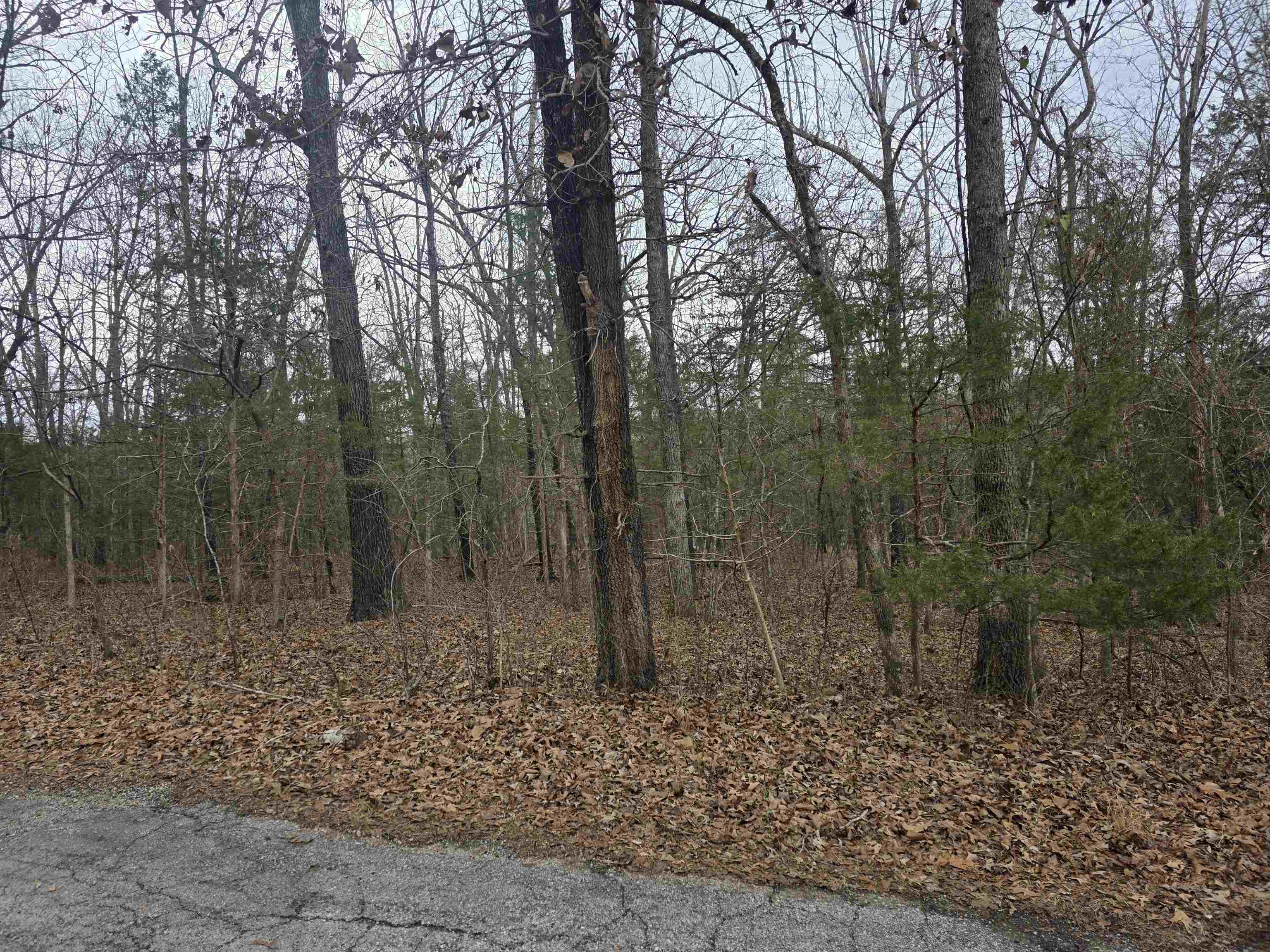 Photo 5 - Vacant Land for sale – L19 B6  Big Horn   Cherokee Village, AR