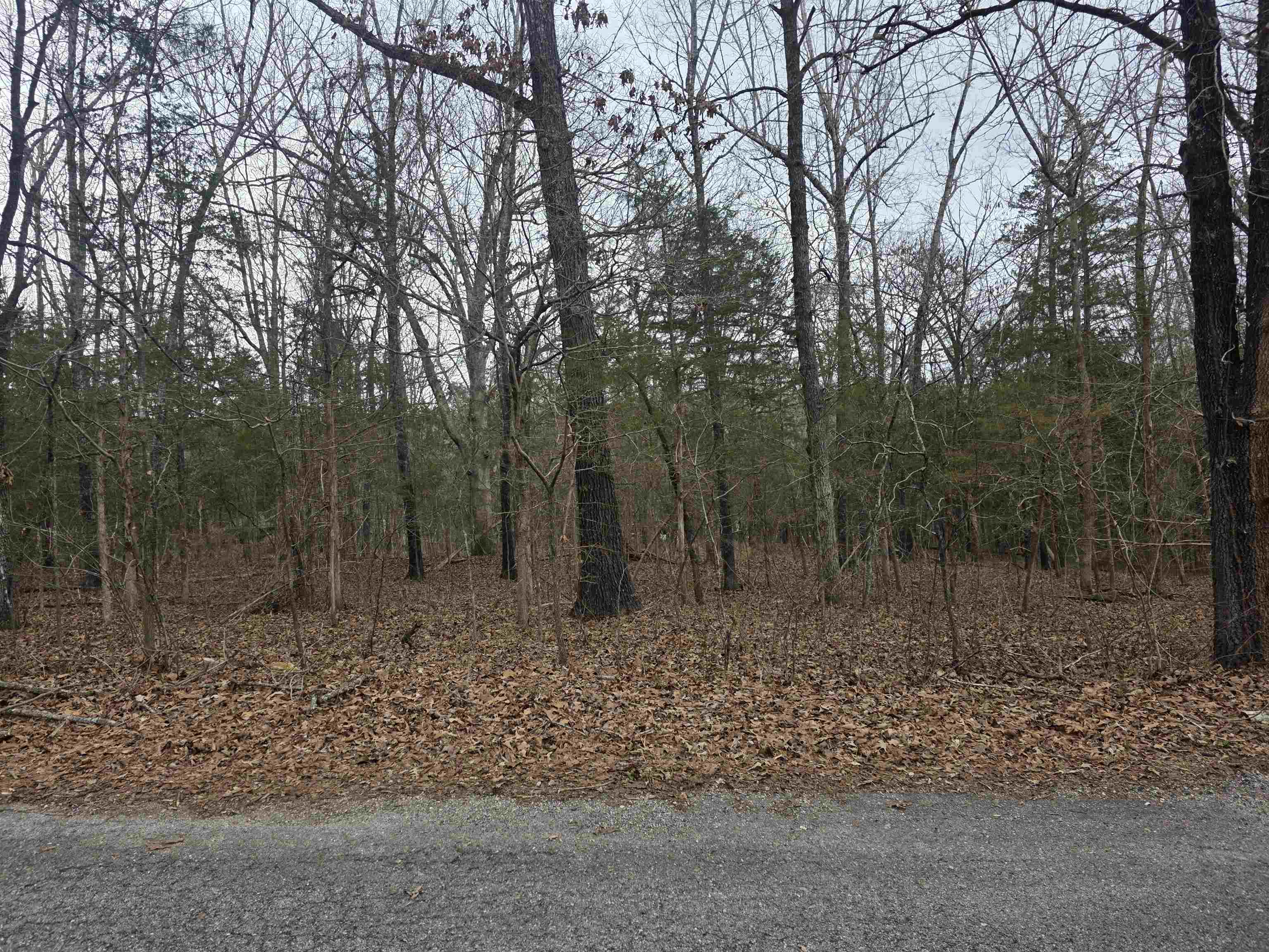 Photo 6 - Vacant Land for sale – L19 B6  Big Horn   Cherokee Village, AR