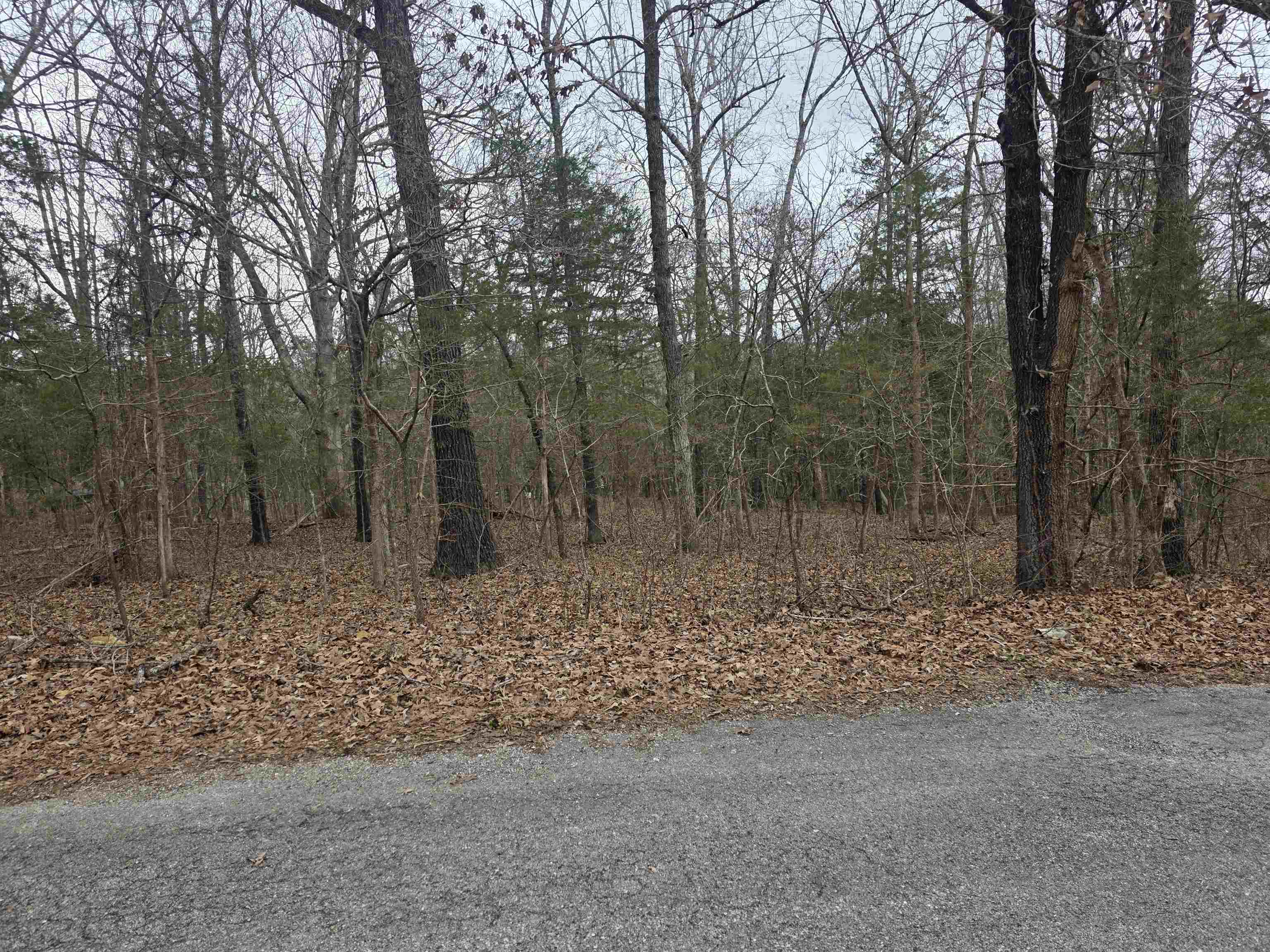 Photo 7 - Vacant Land for sale – L19 B6  Big Horn   Cherokee Village, AR