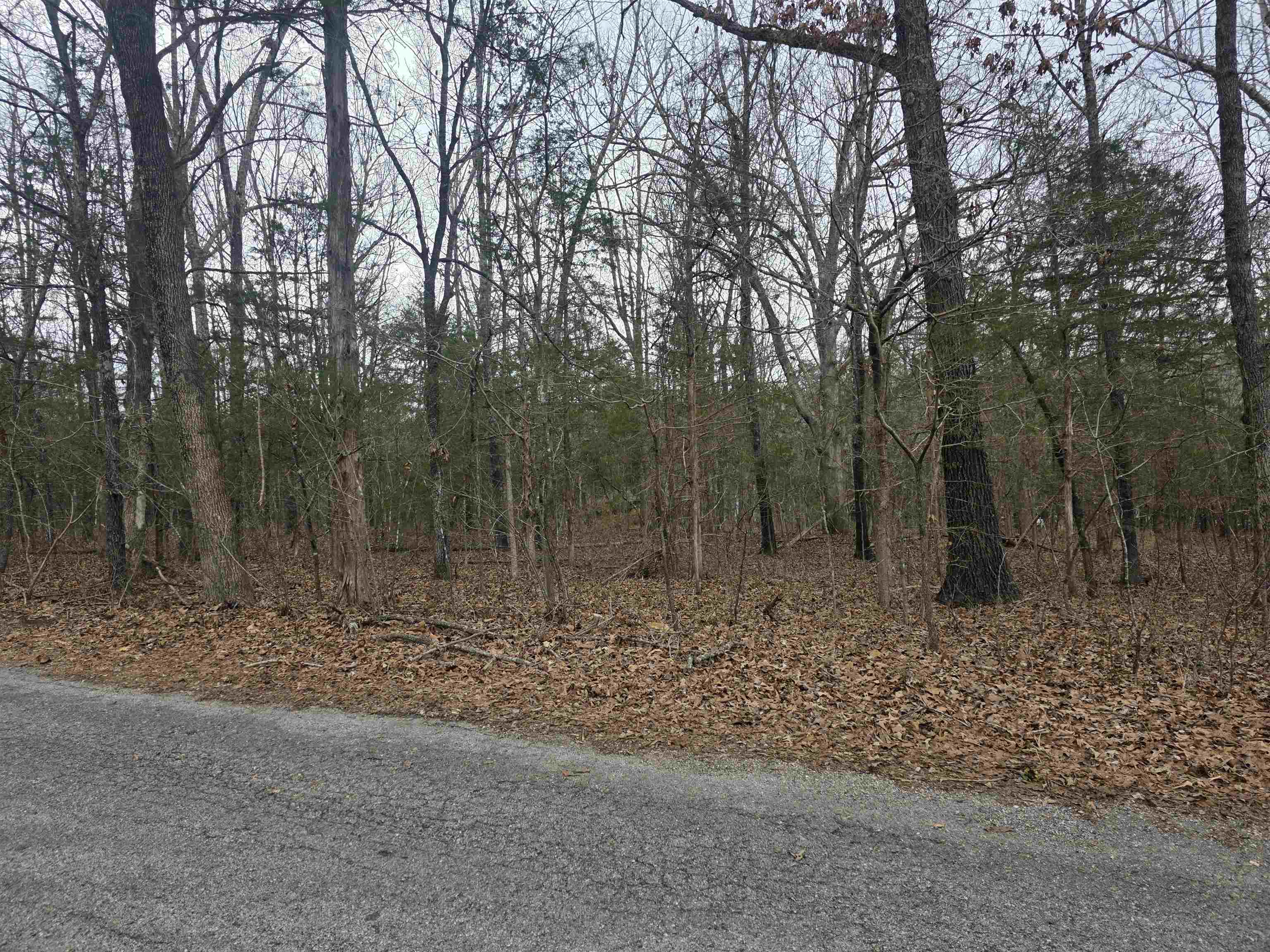 Photo 8 - Vacant Land for sale – L19 B6  Big Horn   Cherokee Village, AR