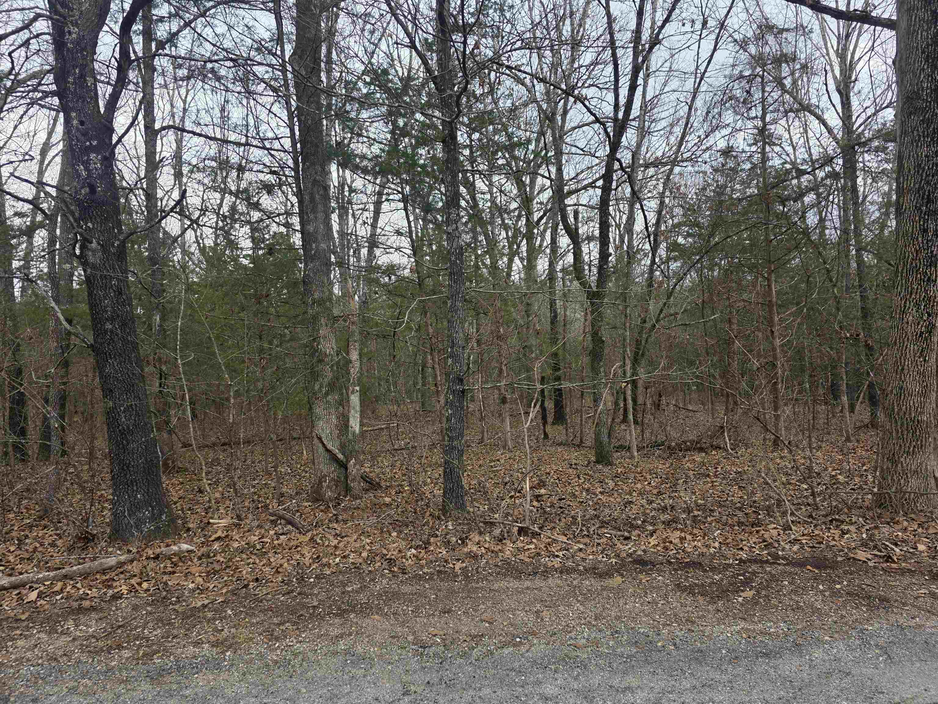 Photo 9 - Vacant Land for sale – L19 B6  Big Horn   Cherokee Village, AR