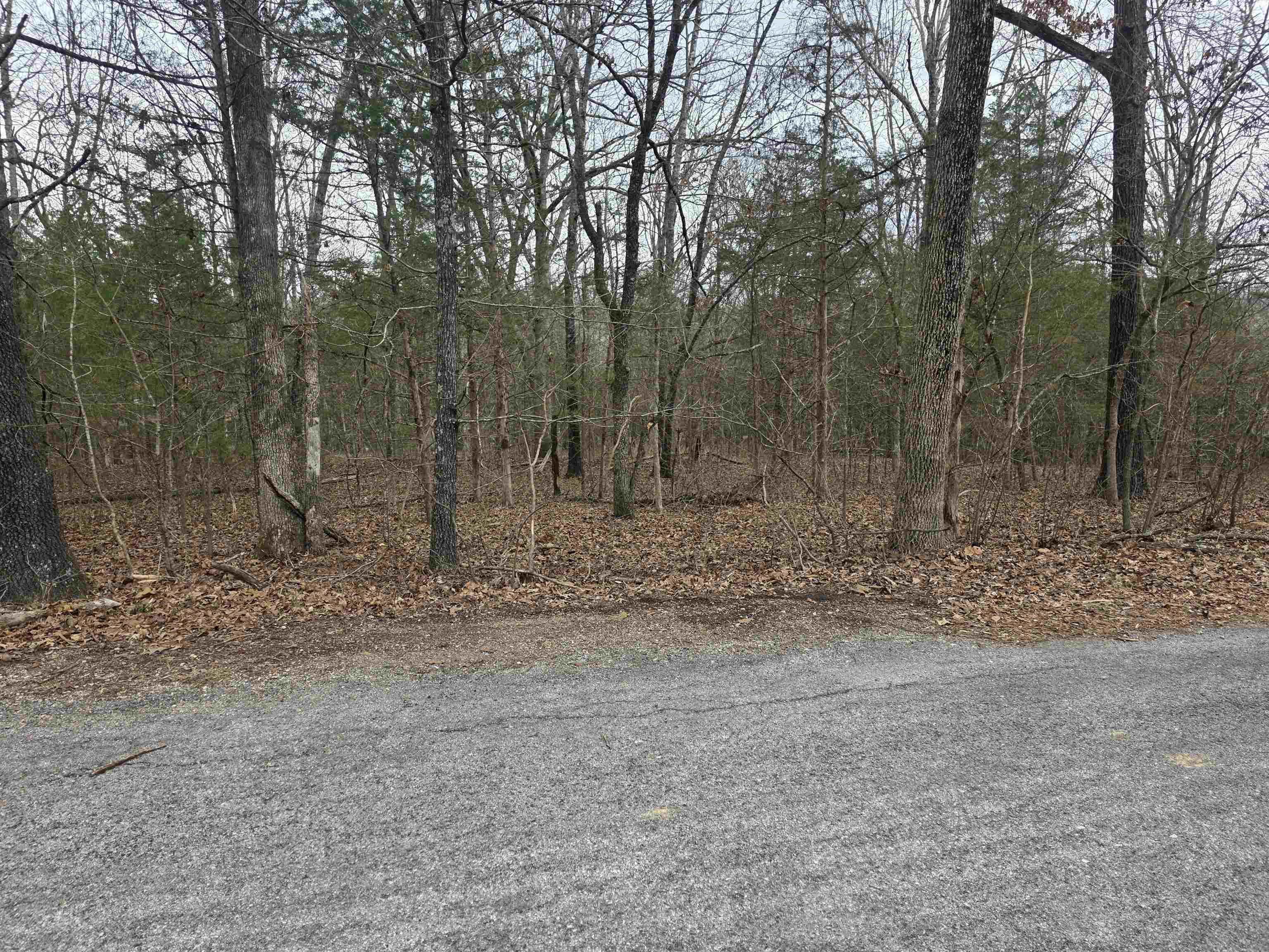 Photo 10 - Vacant Land for sale – L19 B6  Big Horn   Cherokee Village, AR