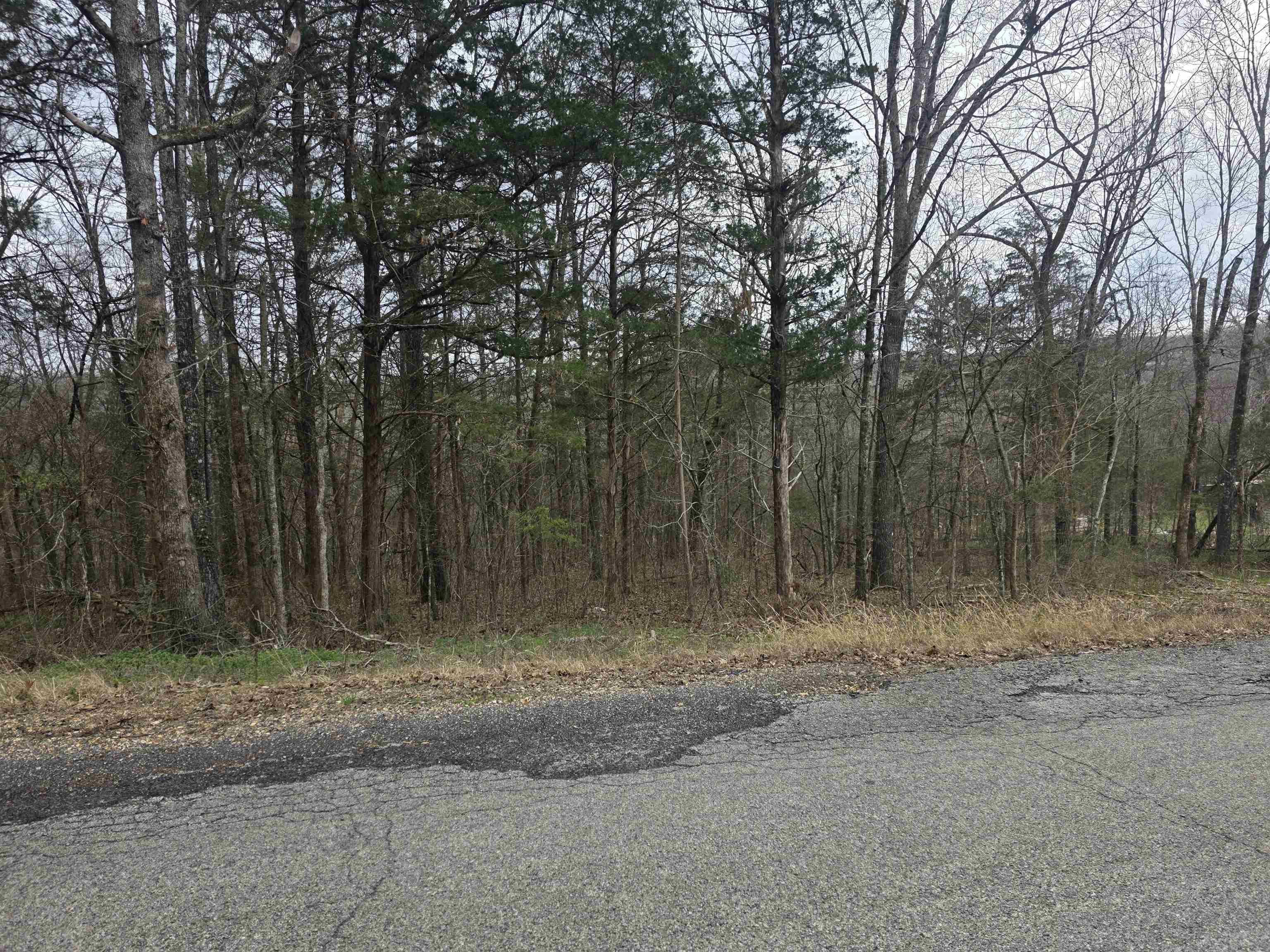 Vacant Land for sale – L9 B3  Mineola   Cherokee Village, AR
