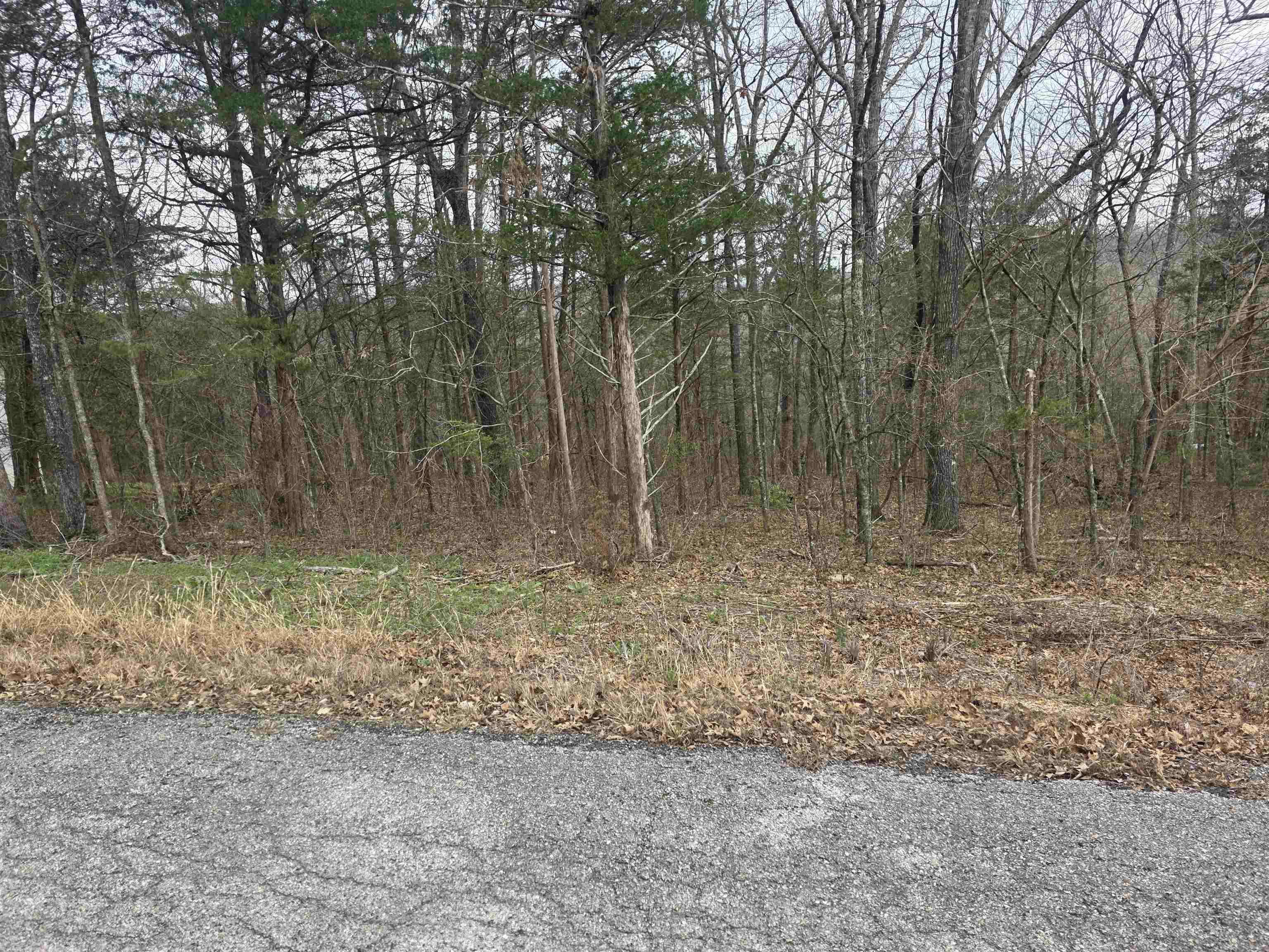 Photo 2 - Vacant Land for sale – L9 B3  Mineola   Cherokee Village, AR