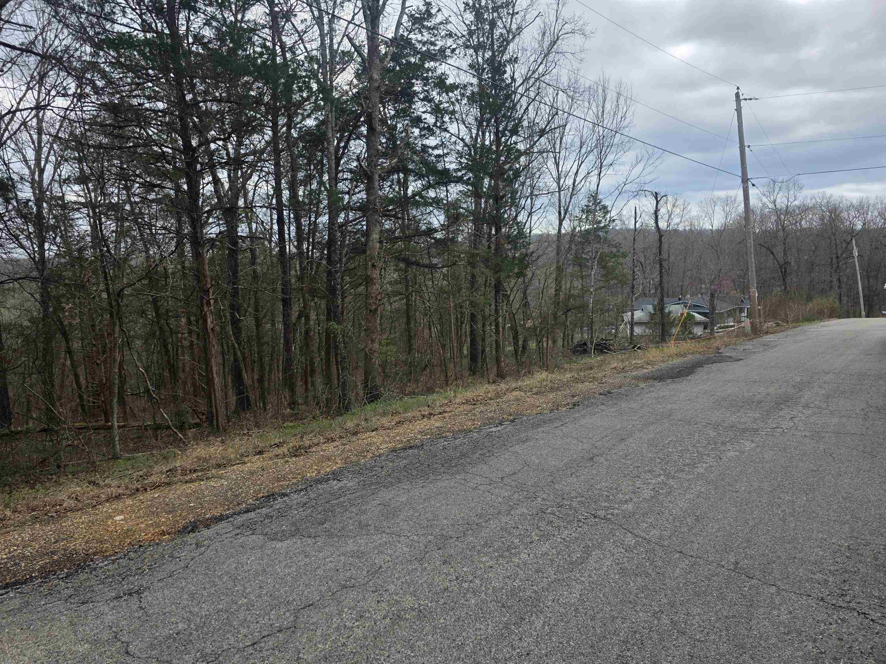 Photo 11 - Vacant Land for sale – L9 B3  Mineola   Cherokee Village, AR