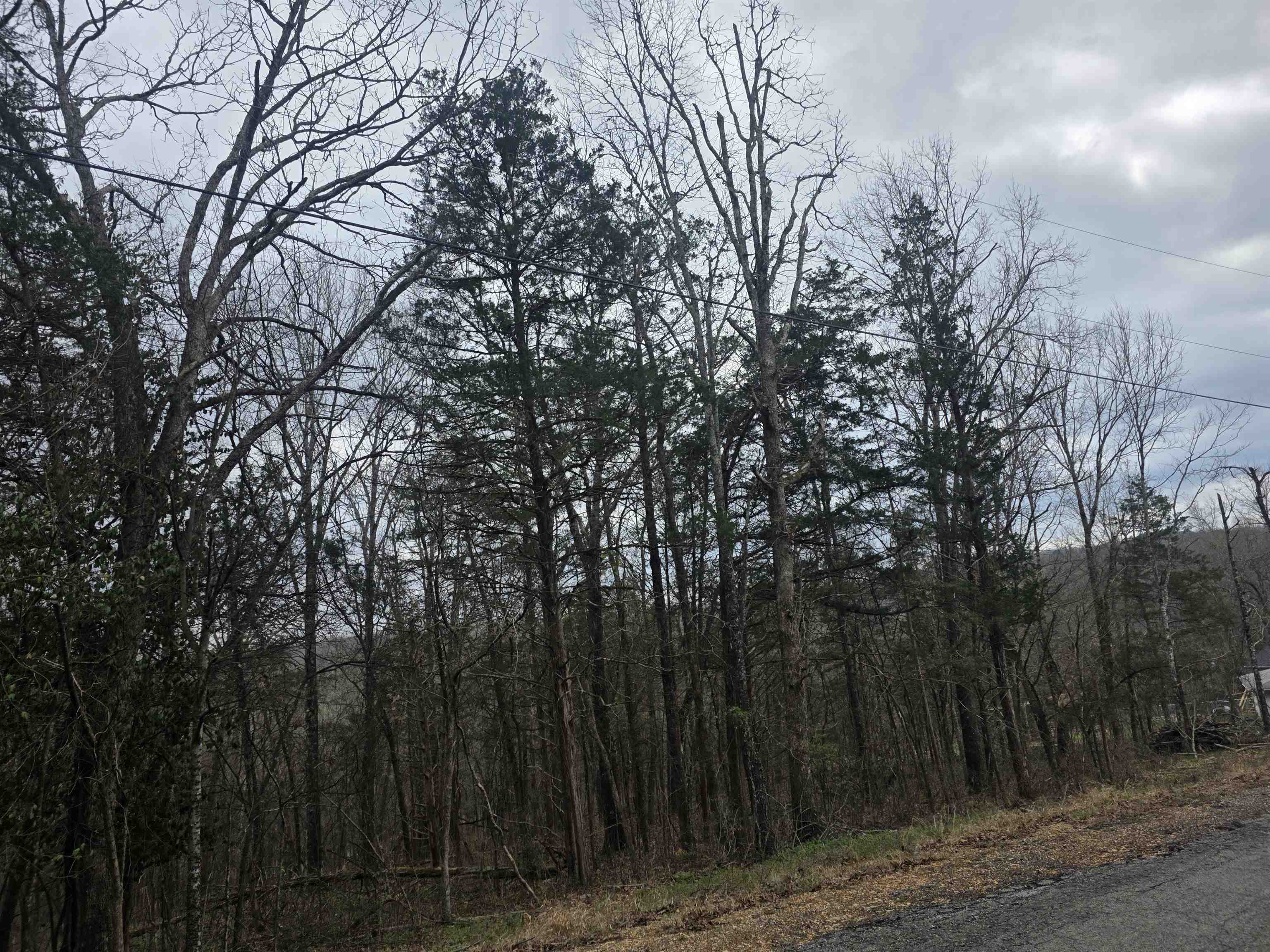 Photo 12 - Vacant Land for sale – L9 B3  Mineola   Cherokee Village, AR