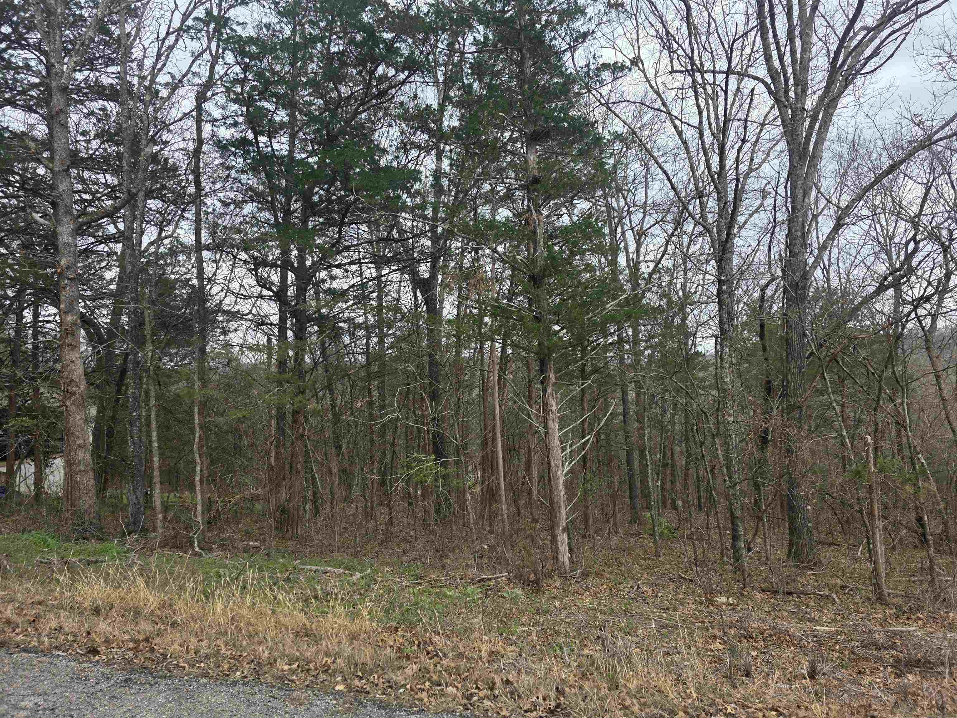 Photo 3 - Vacant Land for sale – L9 B3  Mineola   Cherokee Village, AR
