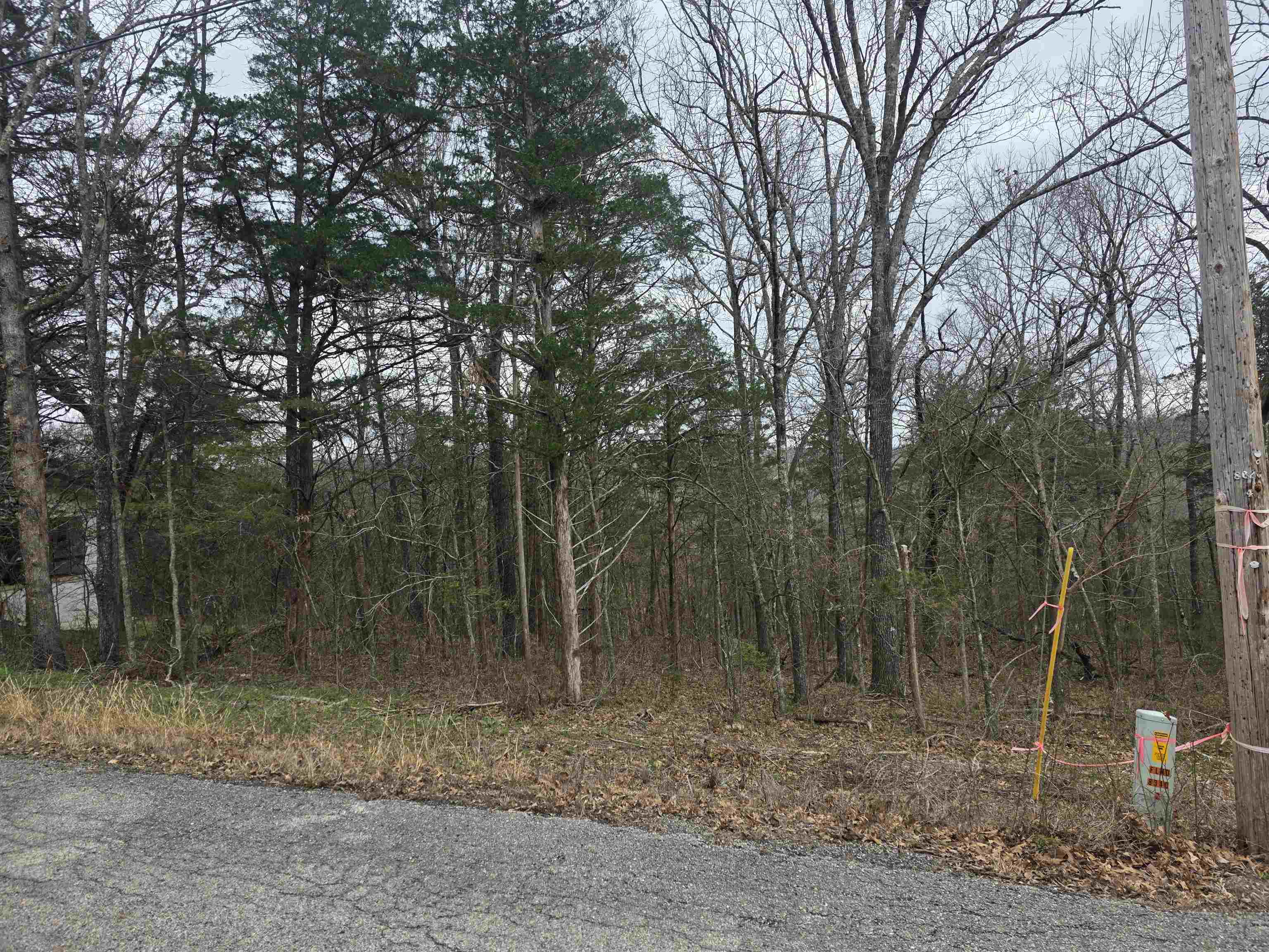 Photo 4 - Vacant Land for sale – L9 B3  Mineola   Cherokee Village, AR