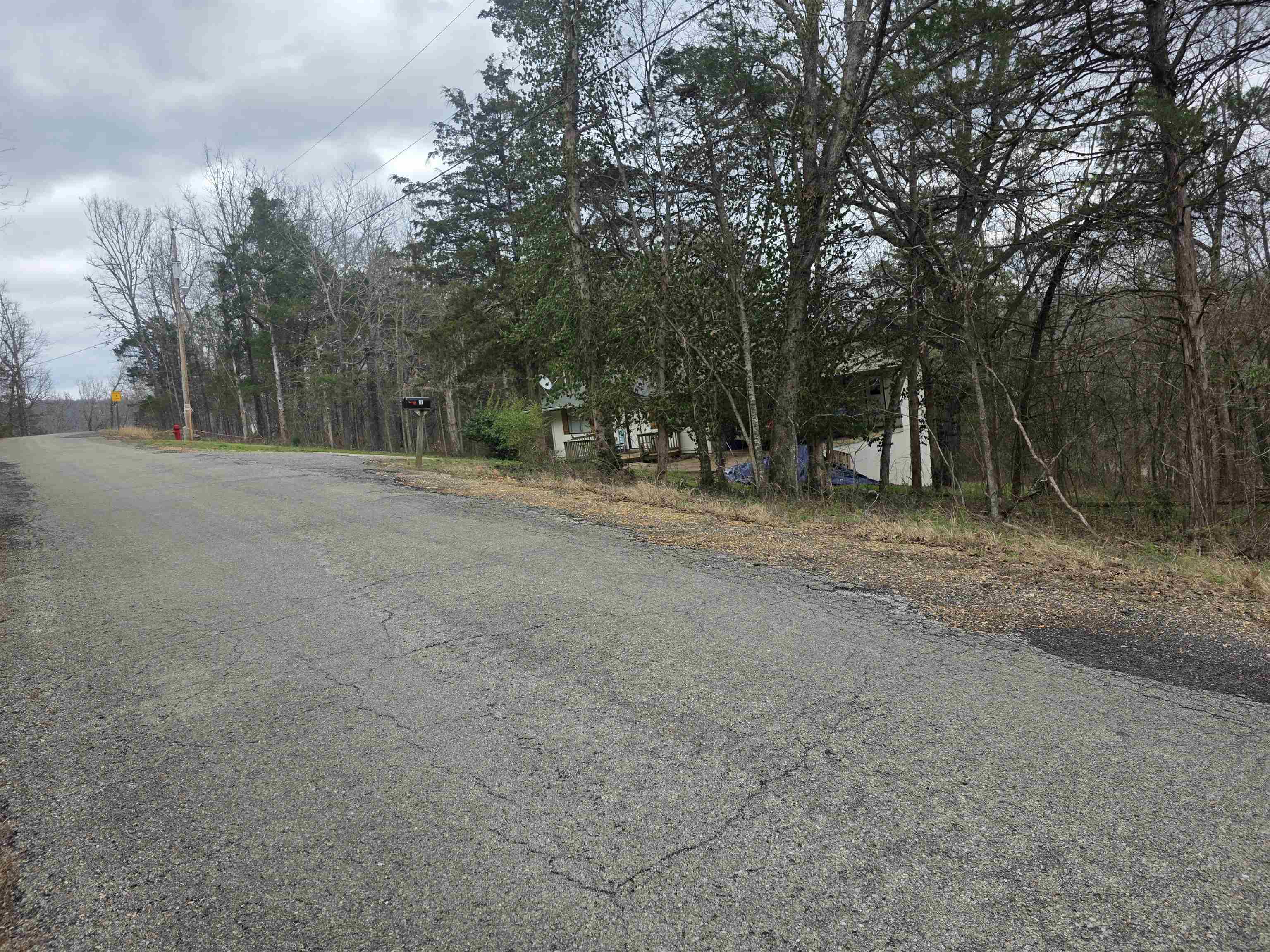 Photo 5 - Vacant Land for sale – L9 B3  Mineola   Cherokee Village, AR