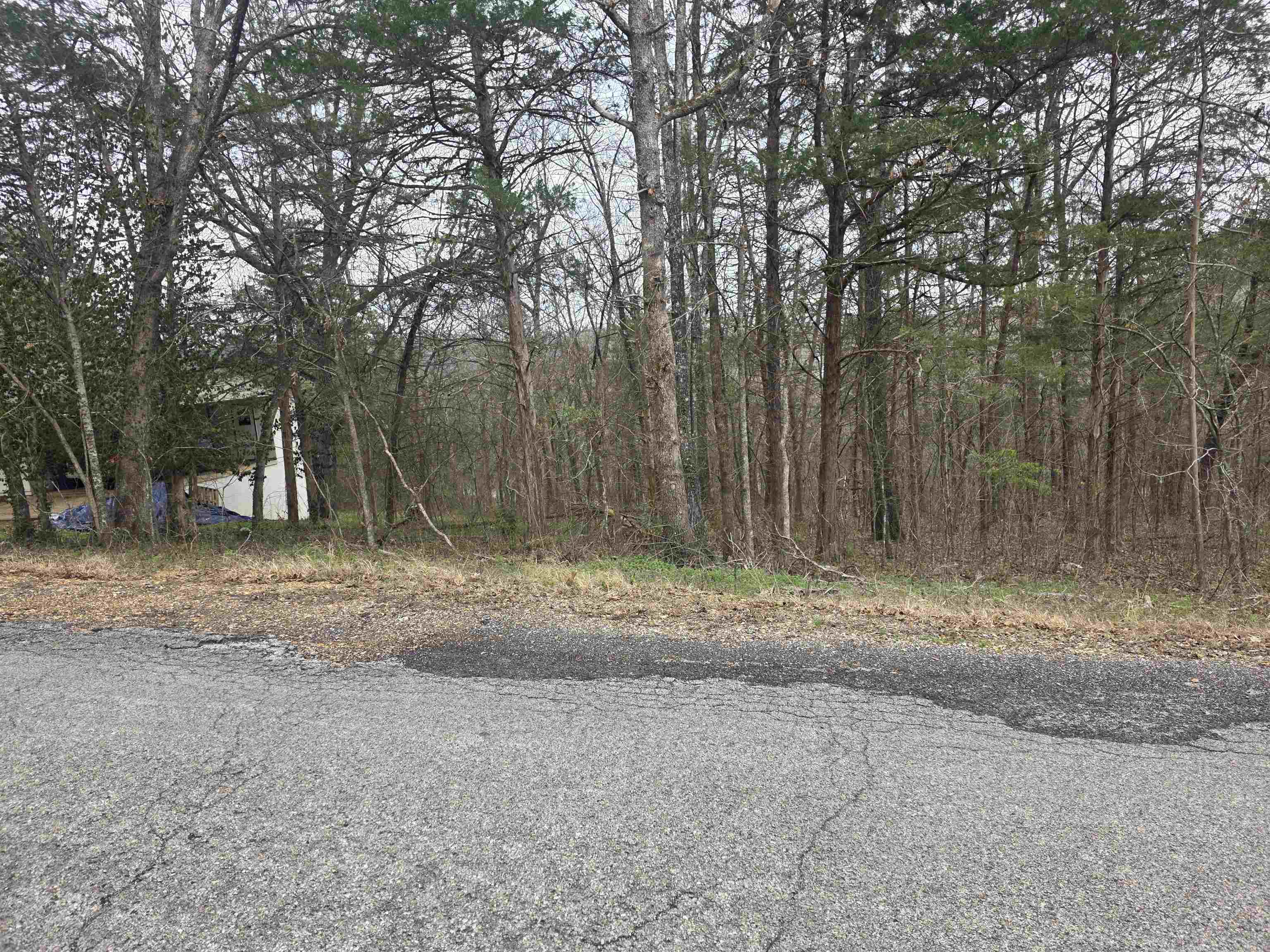 Photo 6 - Vacant Land for sale – L9 B3  Mineola   Cherokee Village, AR