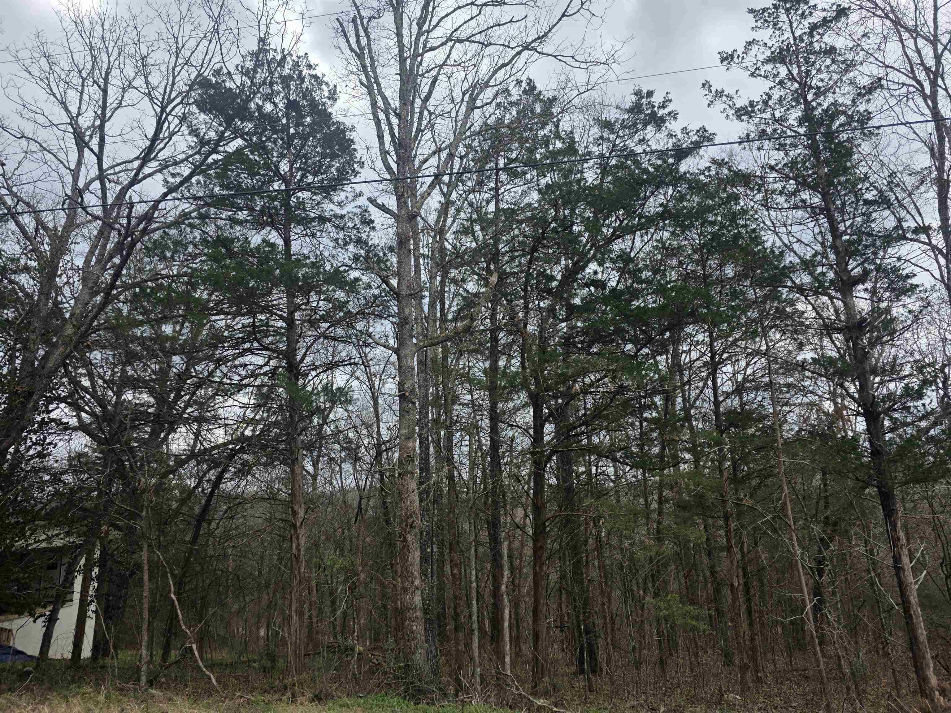 Photo 7 - Vacant Land for sale – L9 B3  Mineola   Cherokee Village, AR