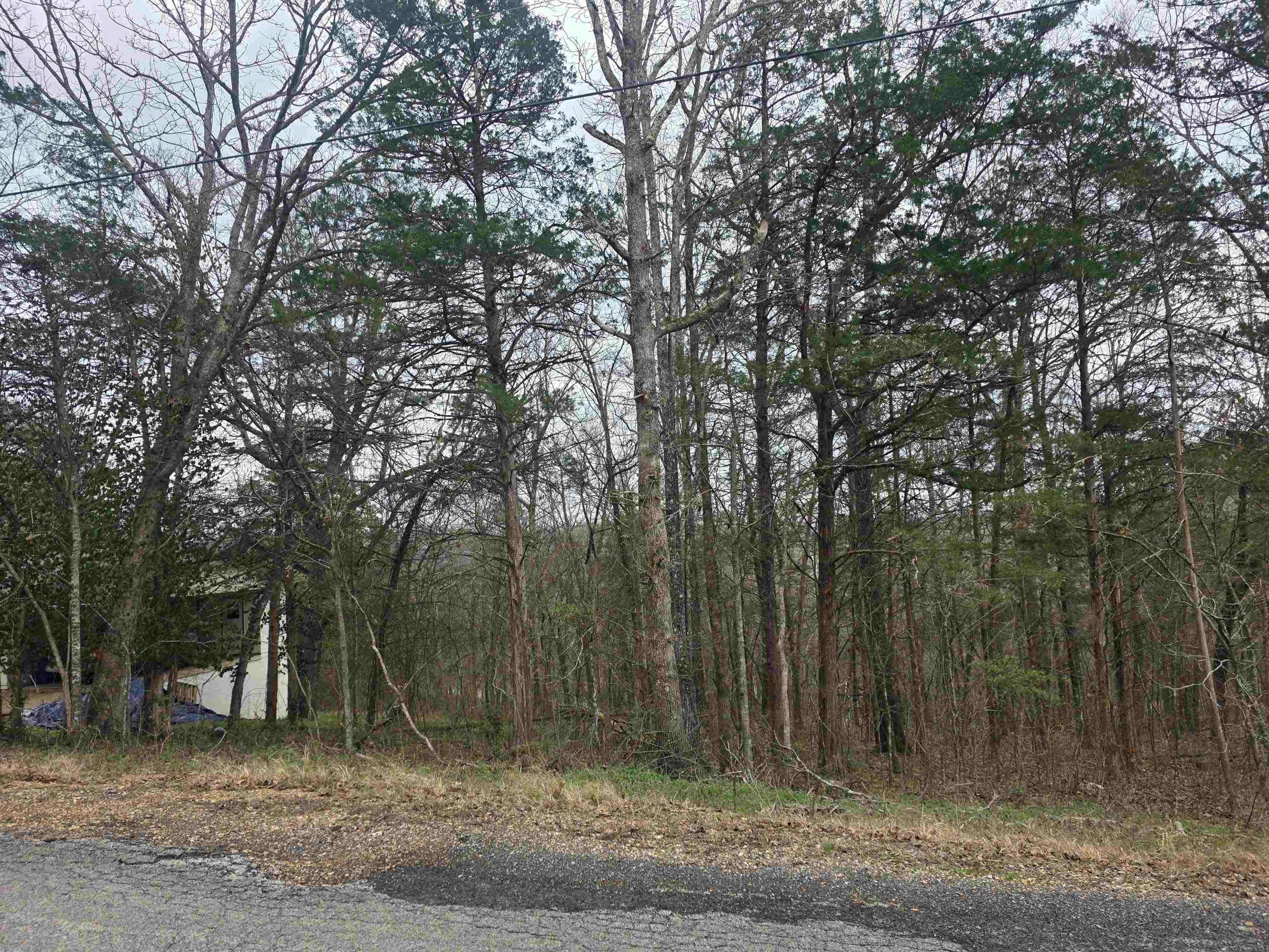 Photo 8 - Vacant Land for sale – L9 B3  Mineola   Cherokee Village, AR