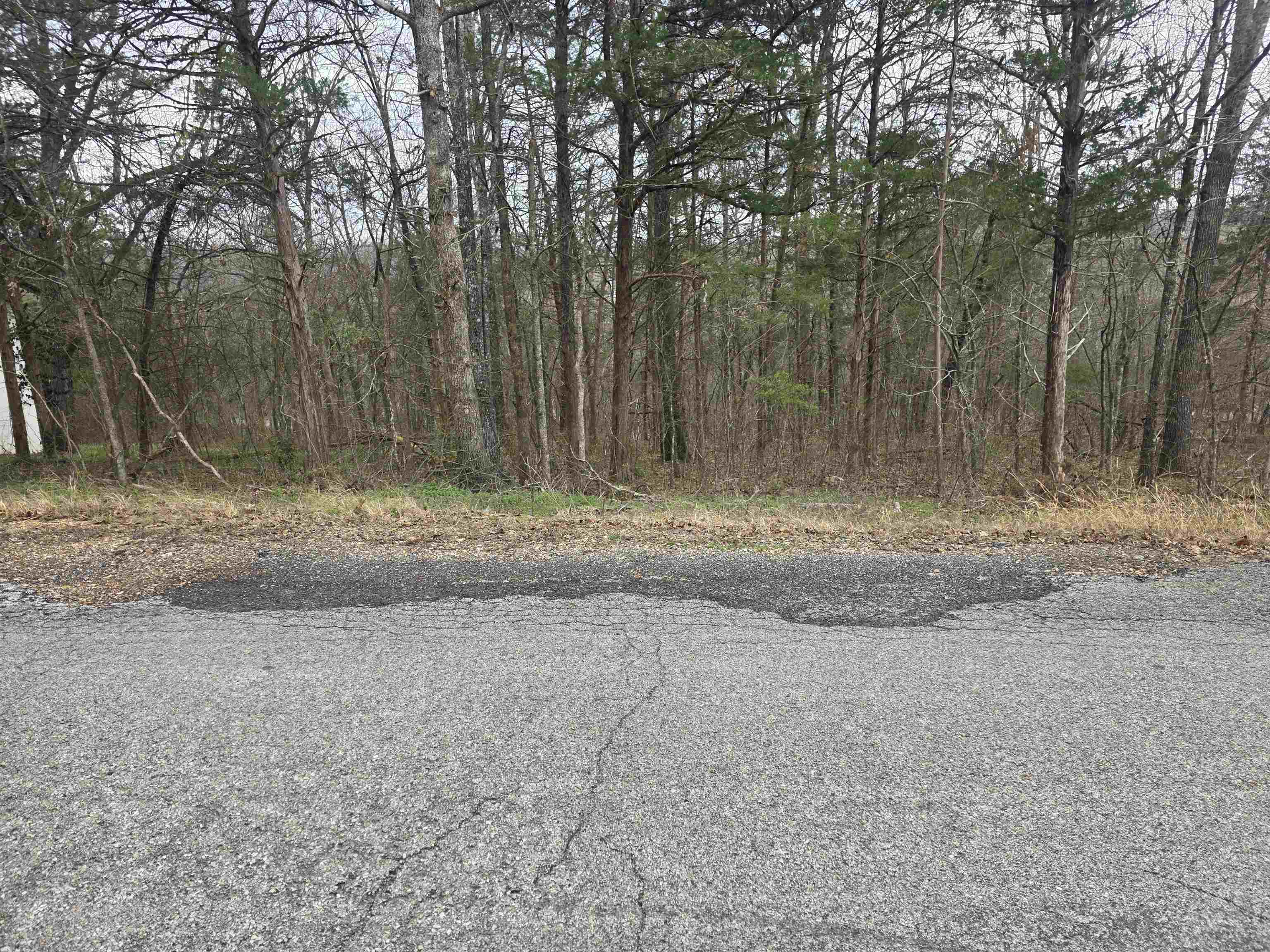Photo 9 - Vacant Land for sale – L9 B3  Mineola   Cherokee Village, AR