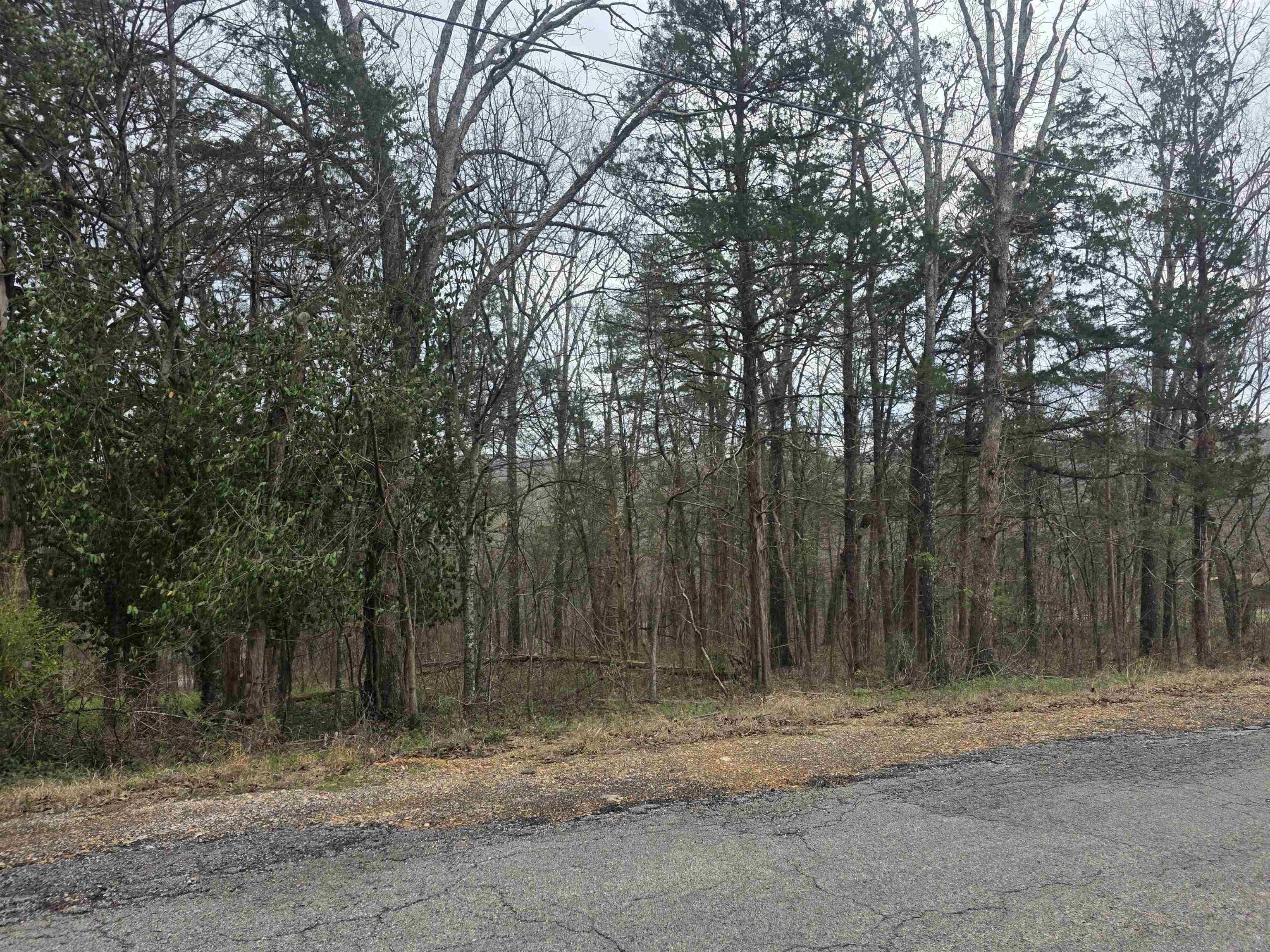 Photo 10 - Vacant Land for sale – L9 B3  Mineola   Cherokee Village, AR