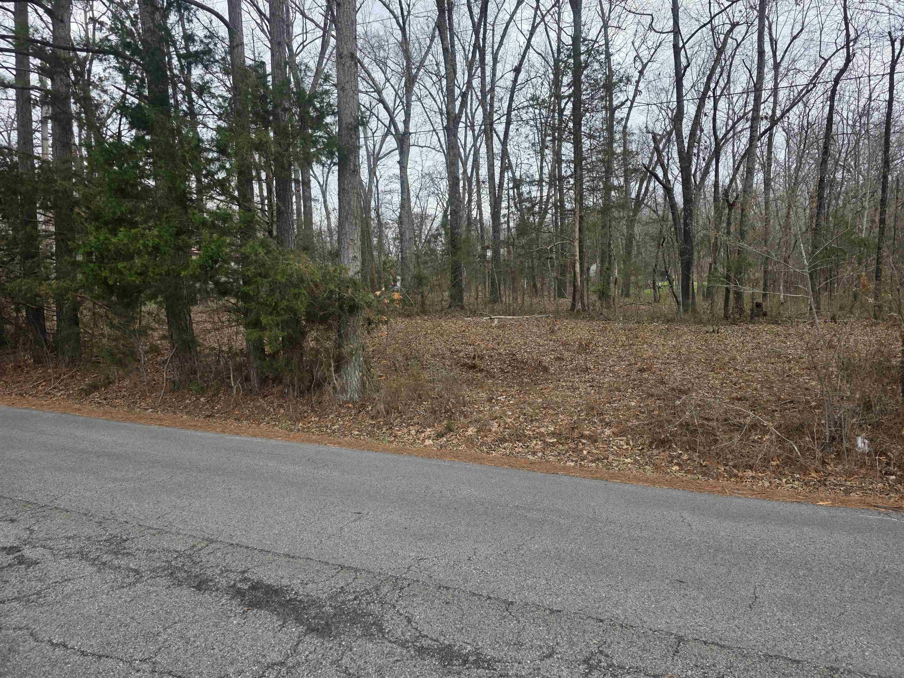 Photo 2 - Vacant Land for sale – L33 B2  Cherokee   Cherokee Village, AR