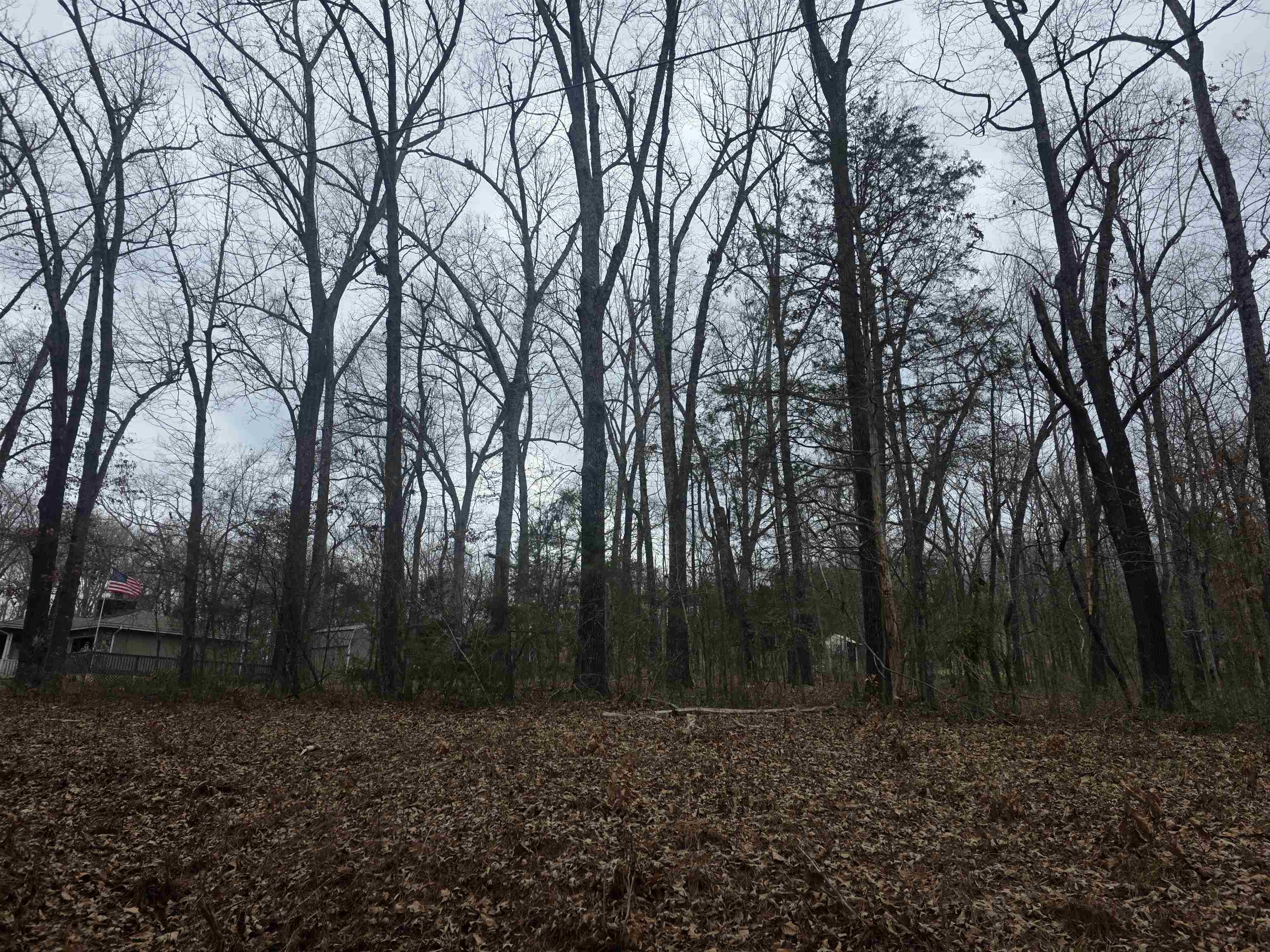 Photo 12 - Vacant Land for sale – L33 B2  Cherokee   Cherokee Village, AR