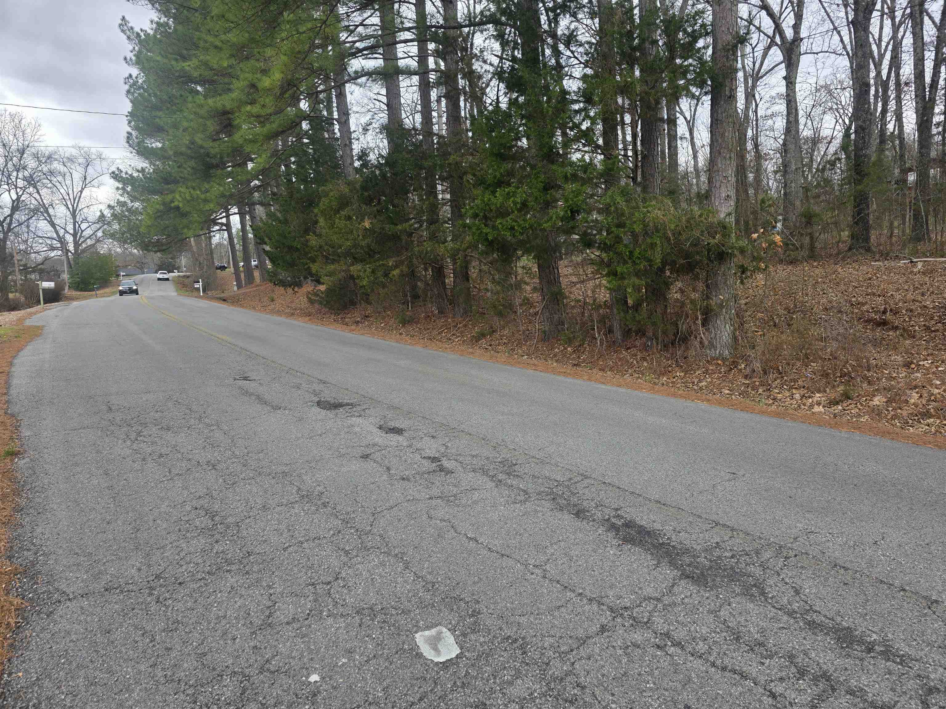 Photo 6 - Vacant Land for sale – L33 B2  Cherokee   Cherokee Village, AR