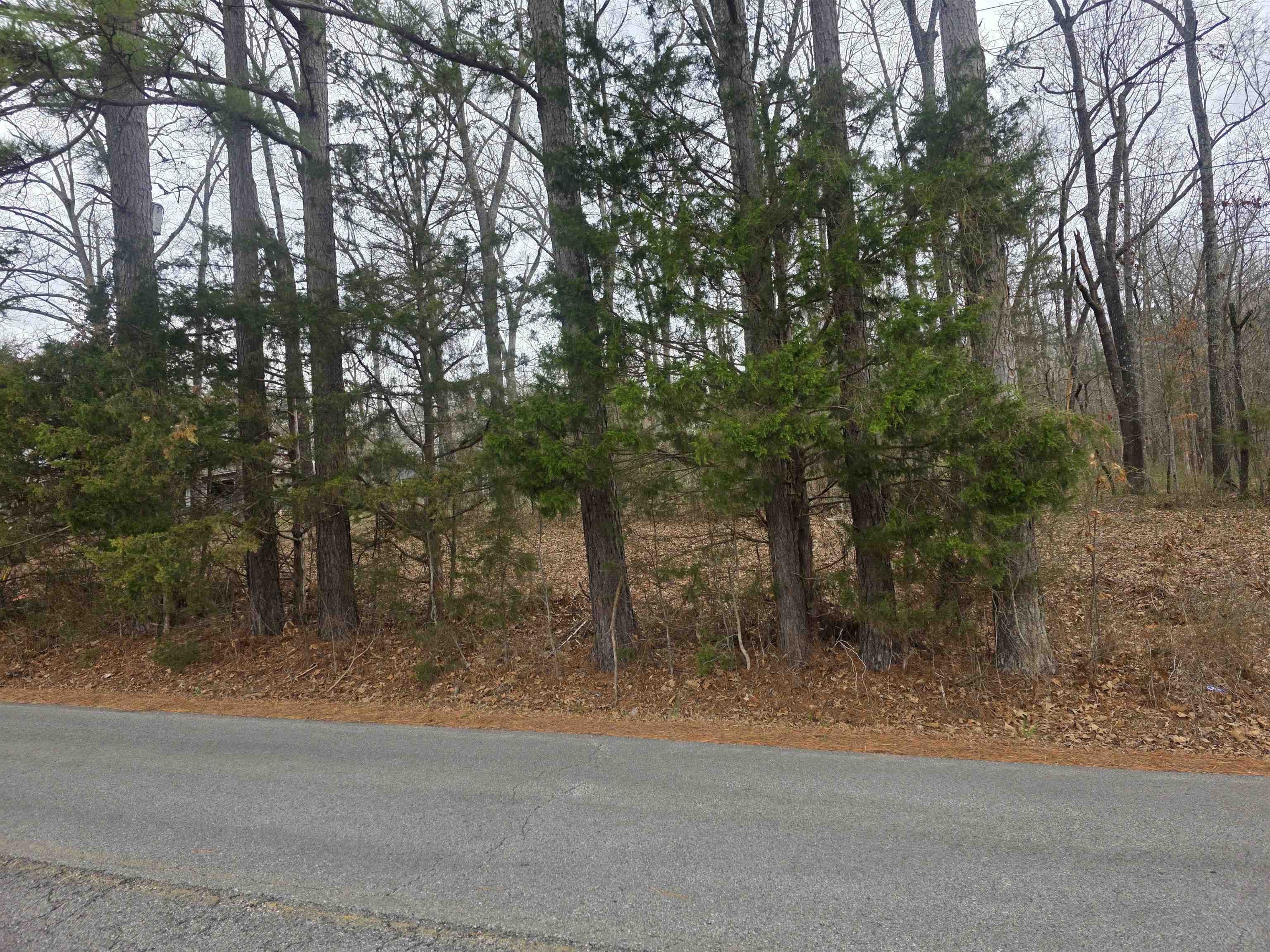 Photo 7 - Vacant Land for sale – L33 B2  Cherokee   Cherokee Village, AR