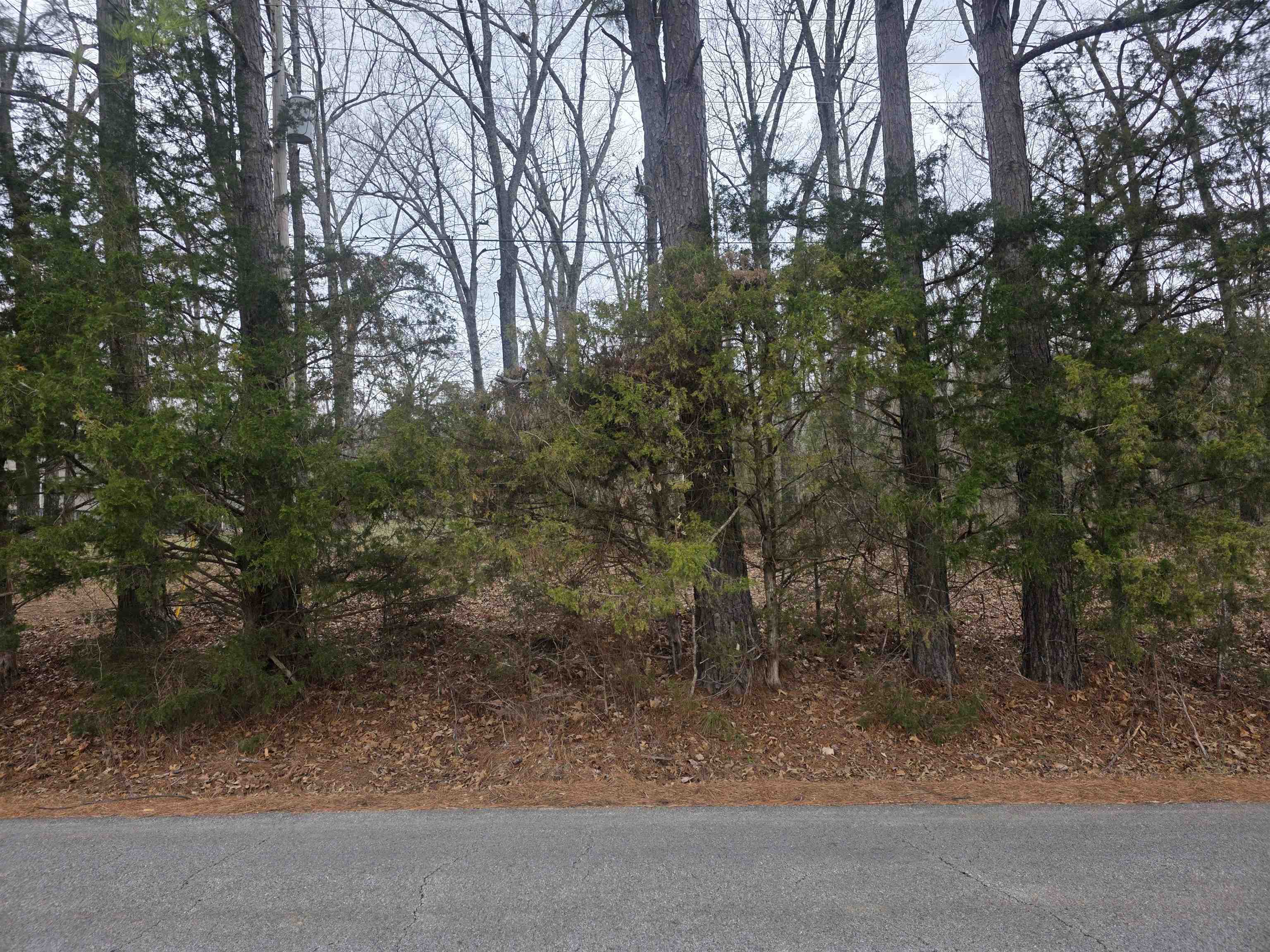 Photo 8 - Vacant Land for sale – L33 B2  Cherokee   Cherokee Village, AR