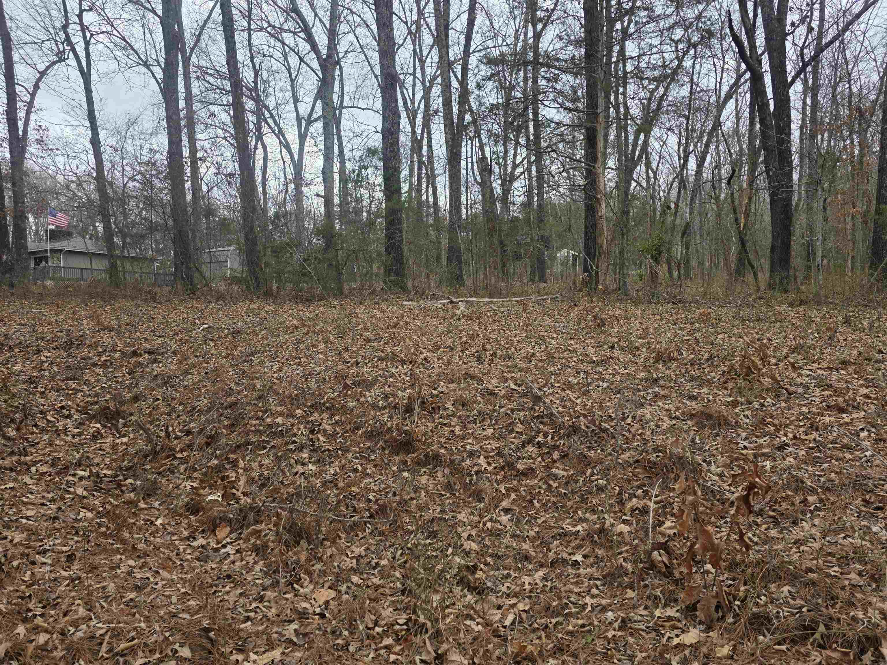 Photo 10 - Vacant Land for sale – L33 B2  Cherokee   Cherokee Village, AR